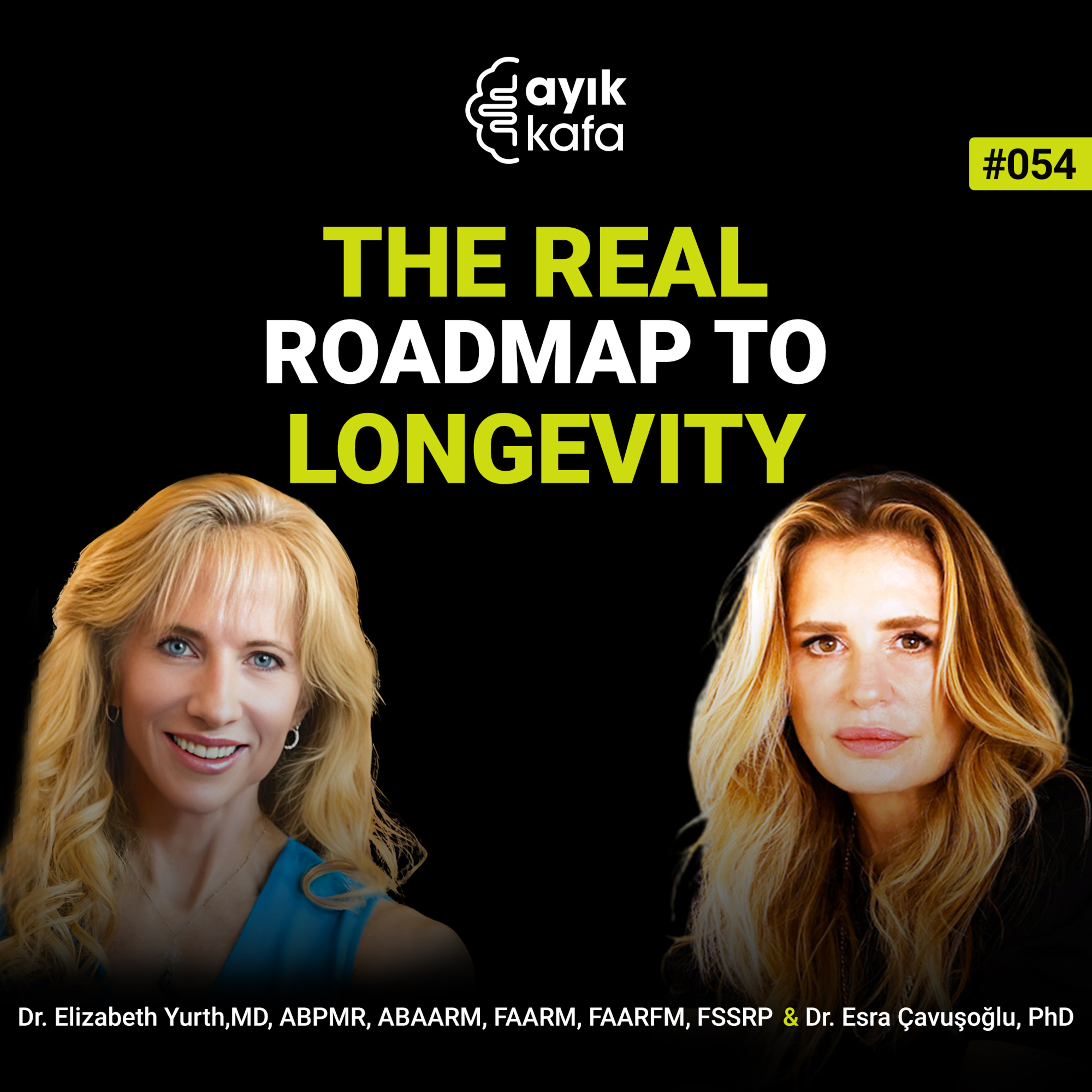 The Real Roadmap to Longevity episode artwork