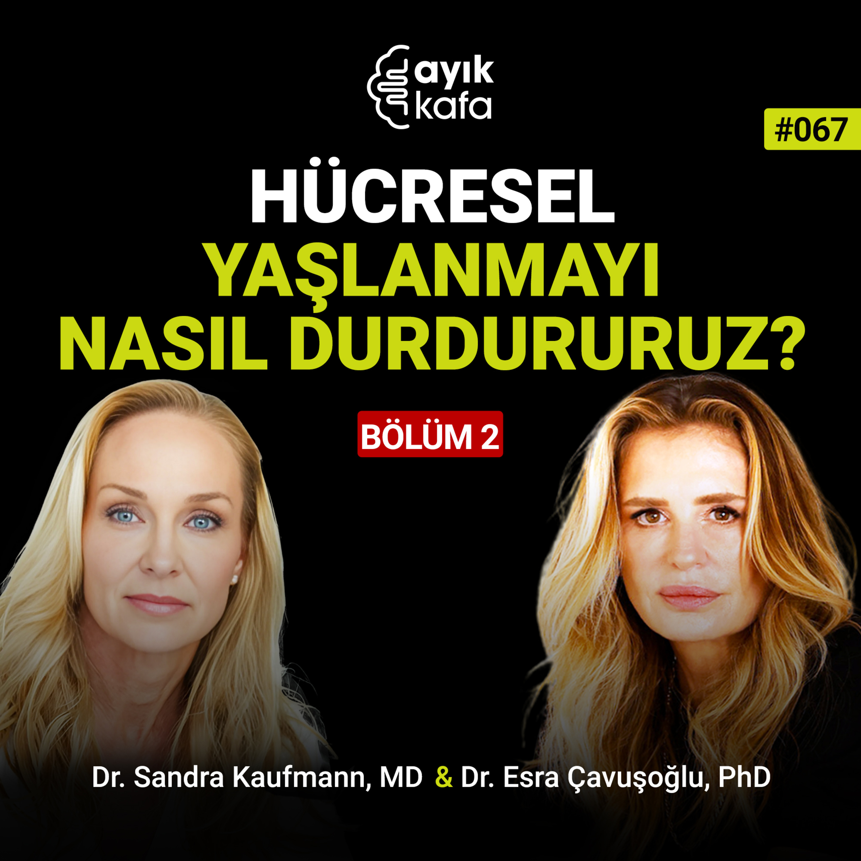 Hücresel Yaşlanmayı Nasıl Durdururuz? episode artwork