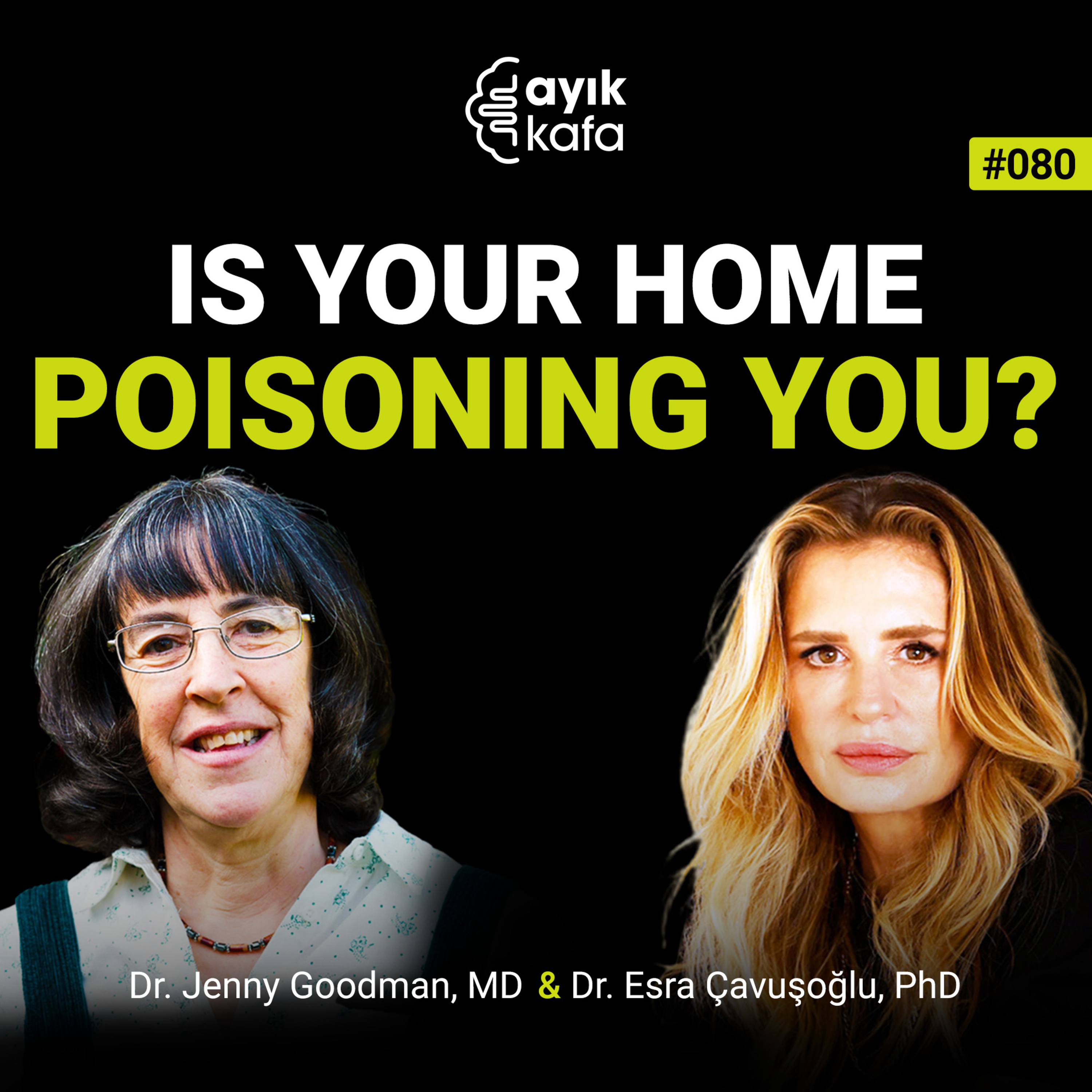 Is Your Home Poisoning You? episode artwork