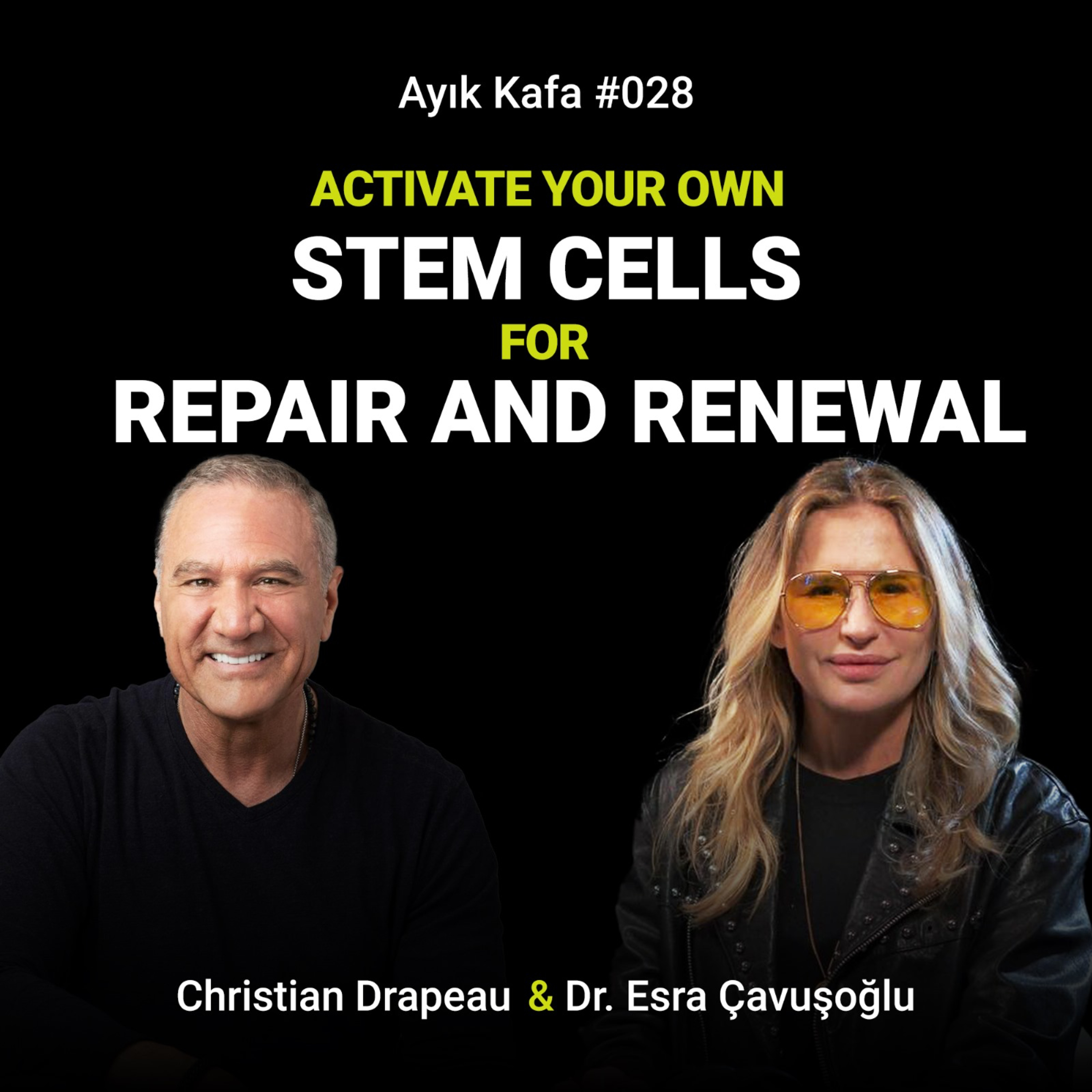 Activate Your Own Stem Cells for Repair and Renewal episode artwork