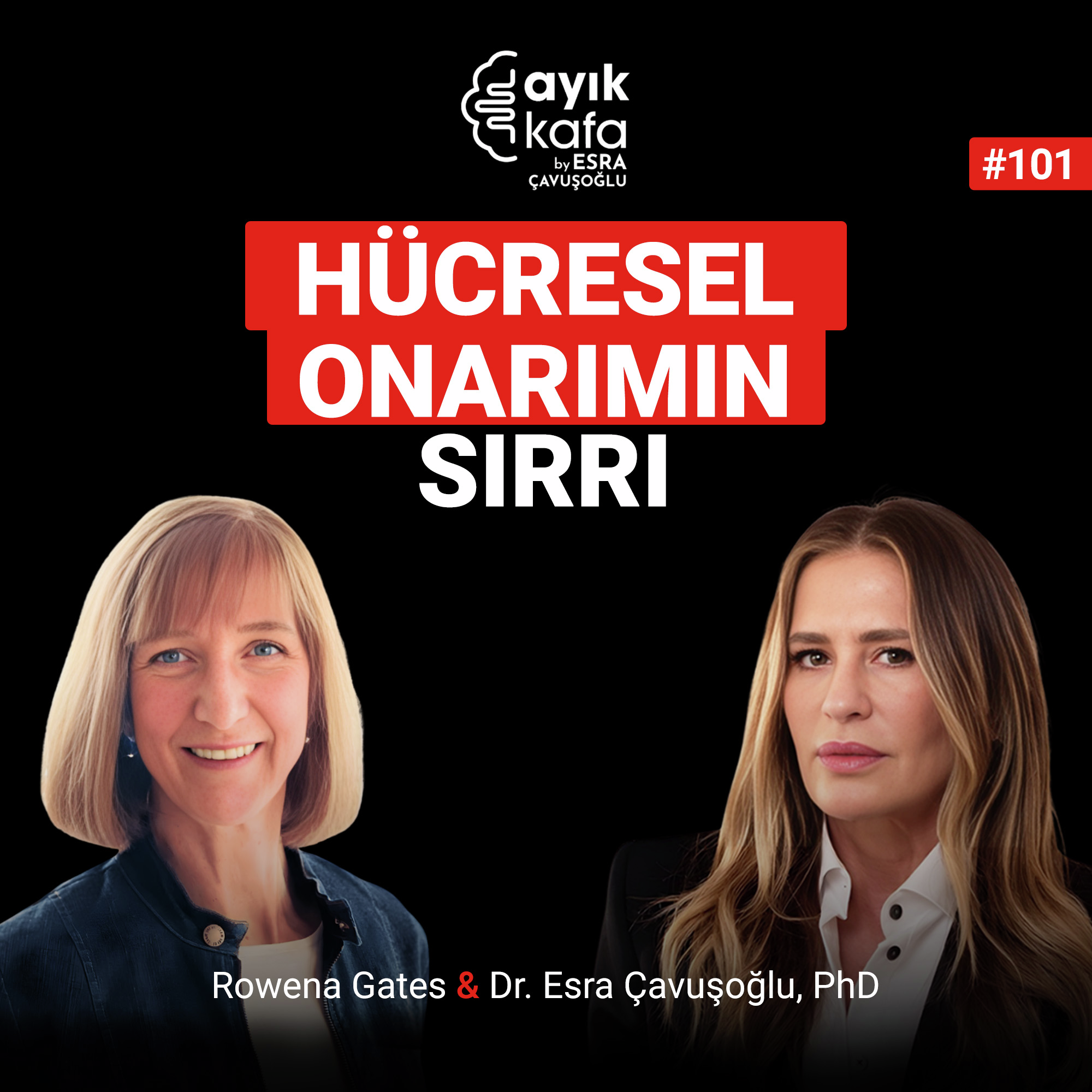 Hücresel Onarımın Sırrı episode artwork