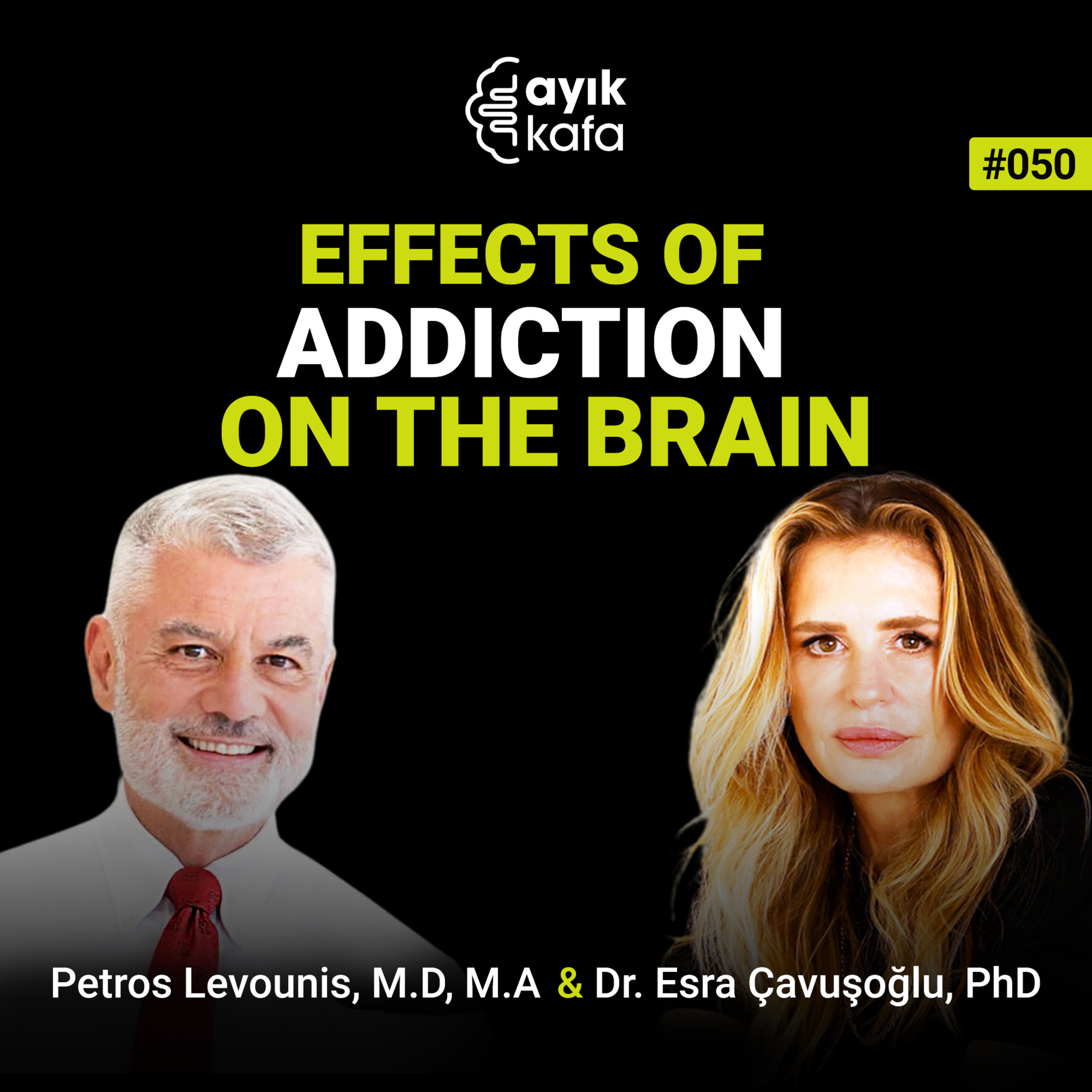 Effects of Addiction on the Brain episode artwork