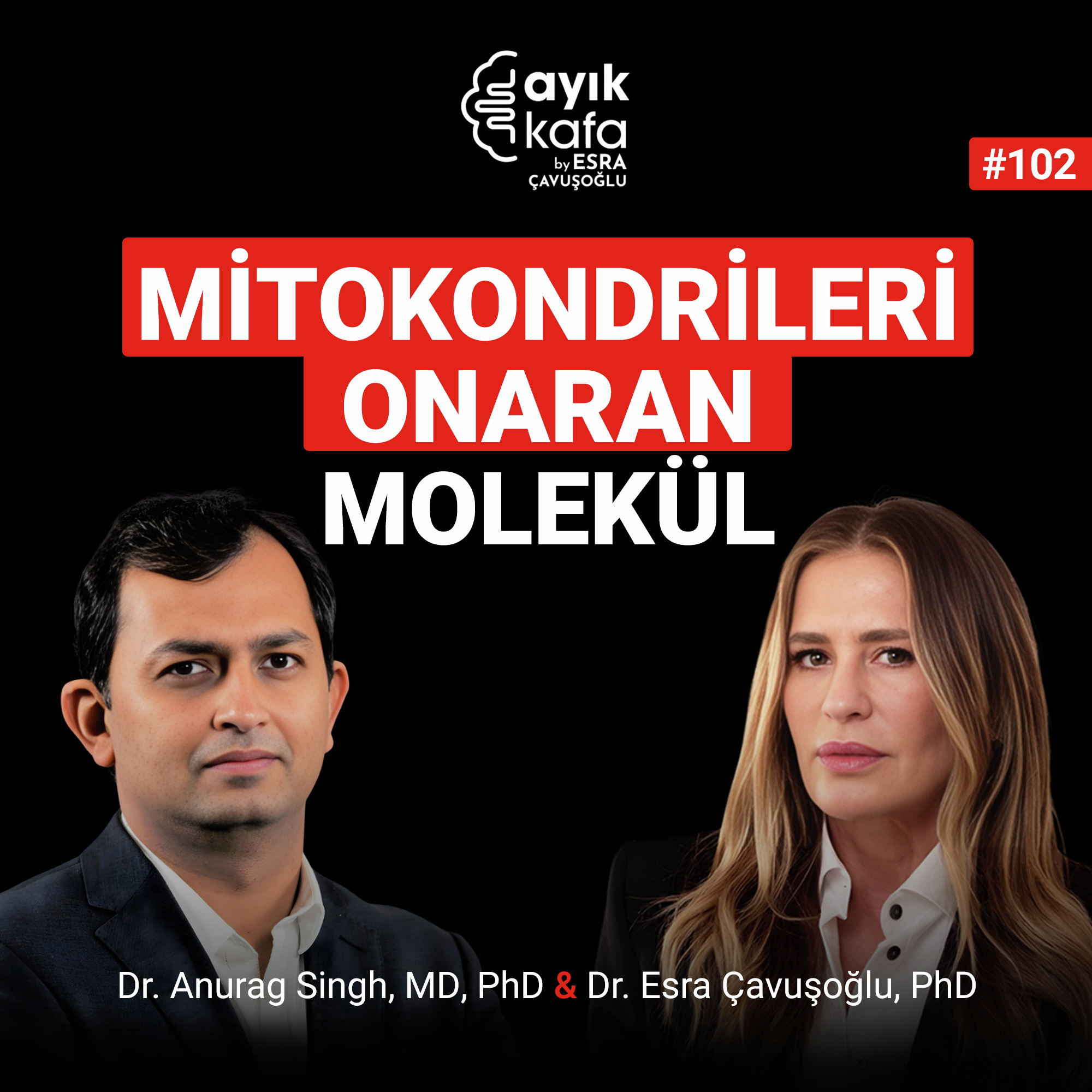 Mitokondrileri Onaran Molekül episode artwork