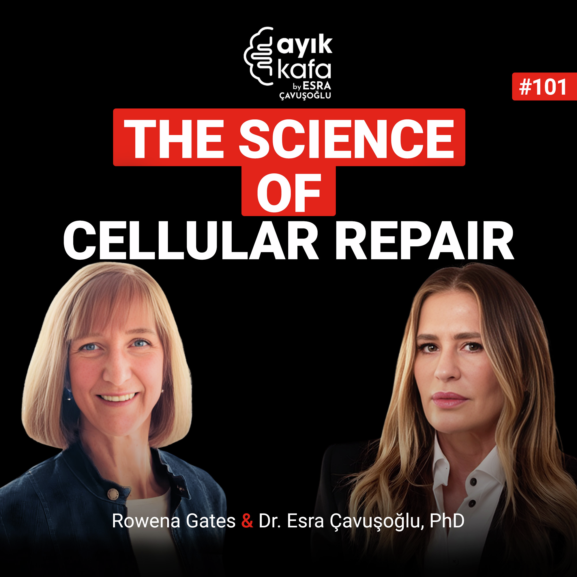 The Science of Cellular Repair episode artwork