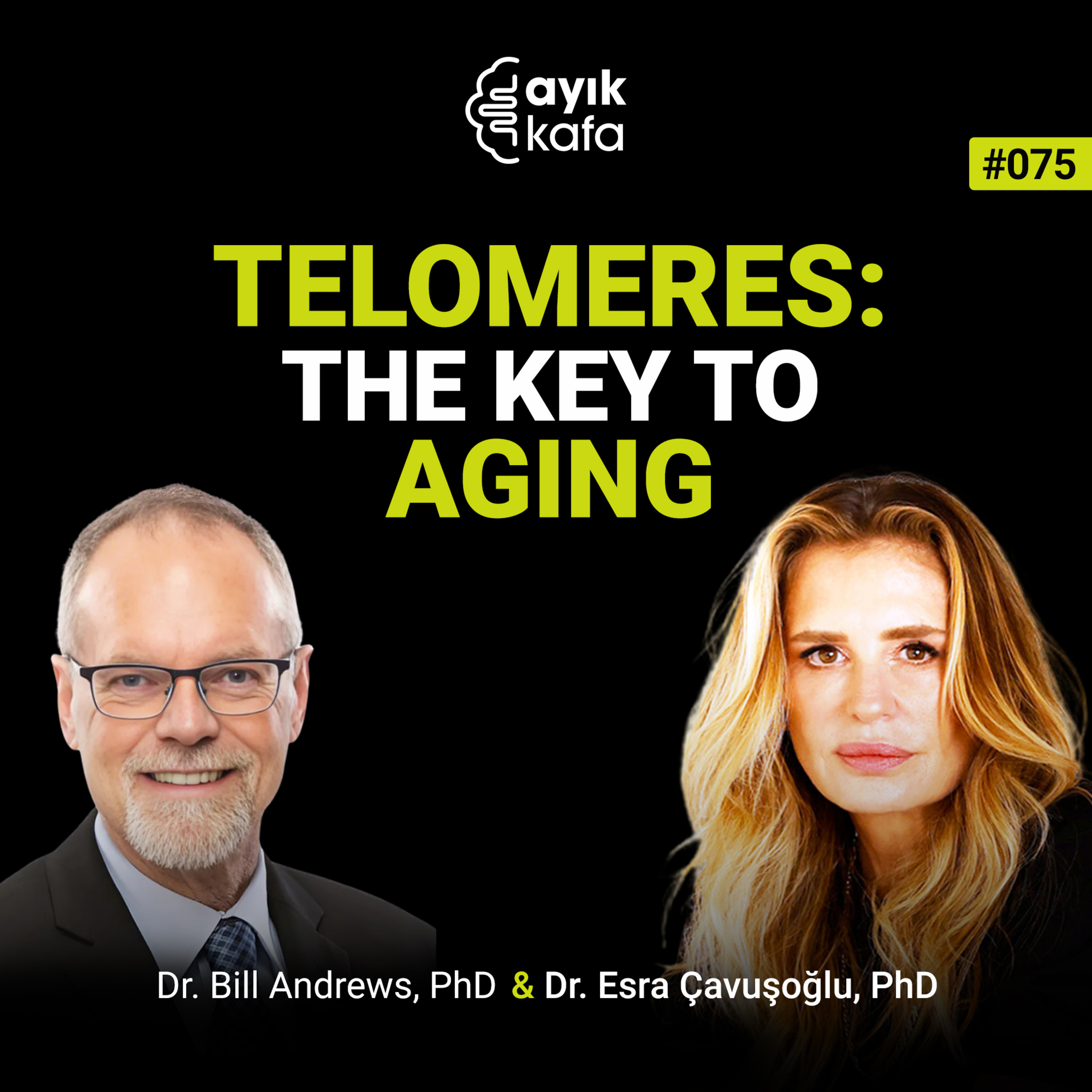 Telomeres The Key To Aging episode artwork