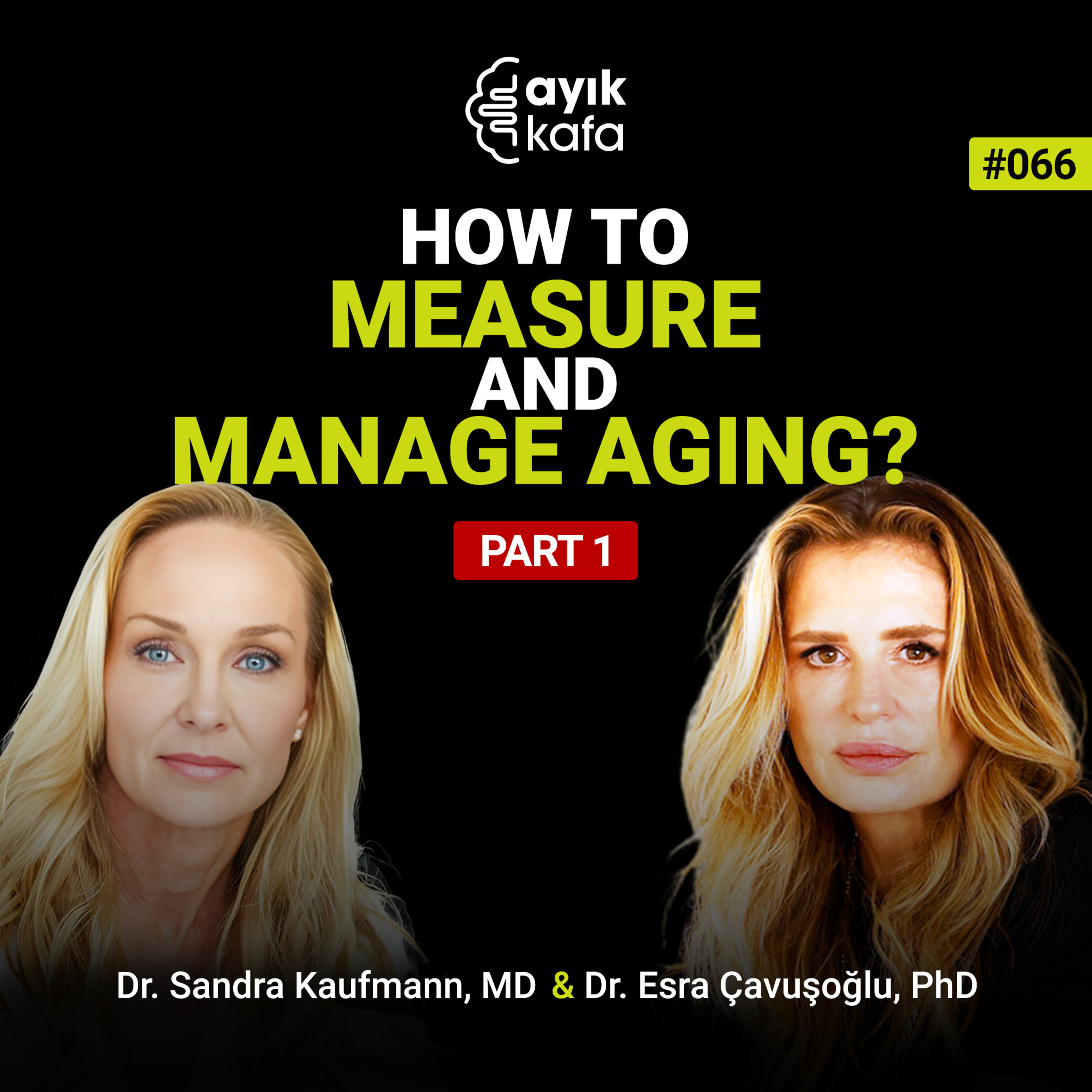 How to Measure and Manage Aging? episode artwork