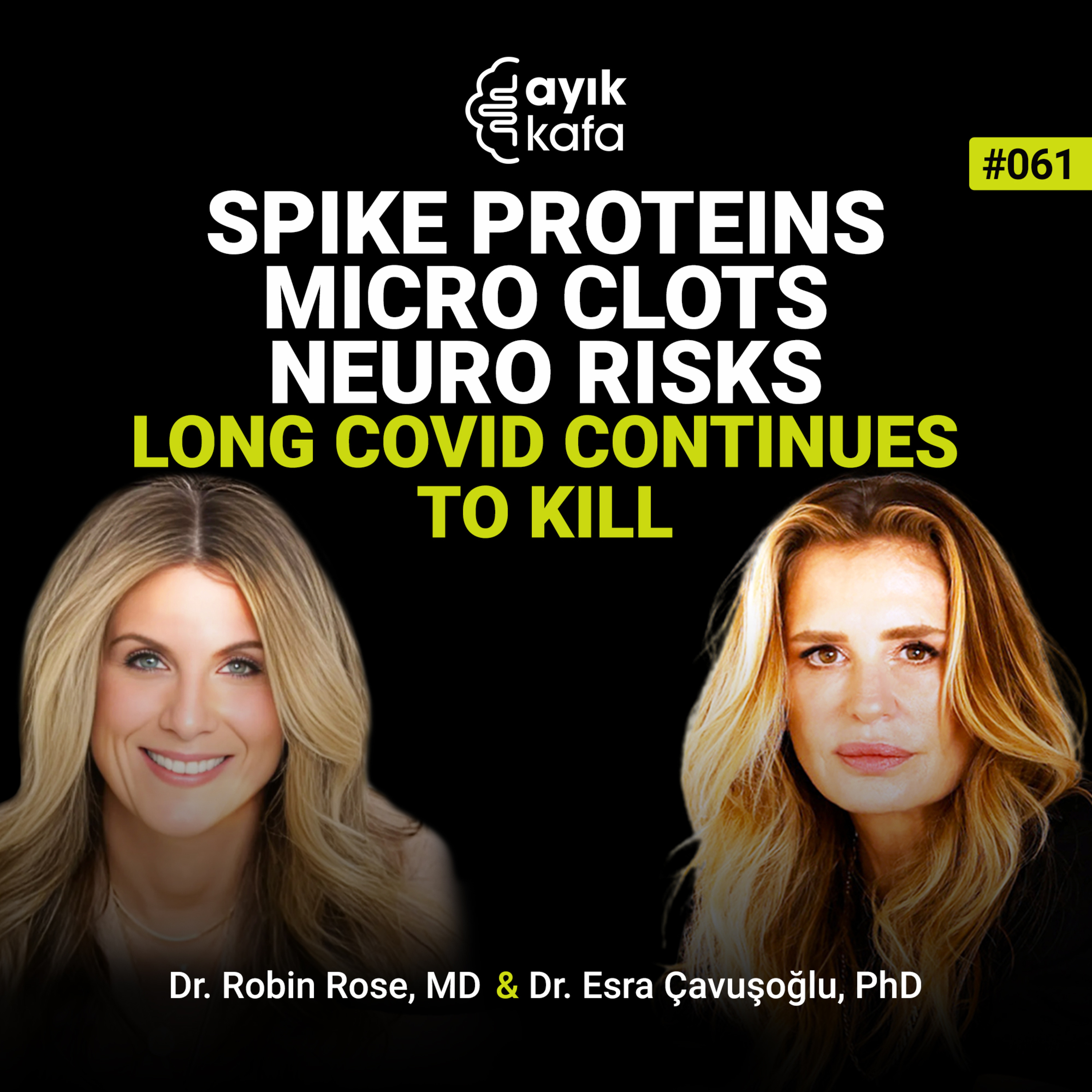Spike Proteins, Micro Clots, Neuro Risks; Long Covid Continues to Kill episode artwork