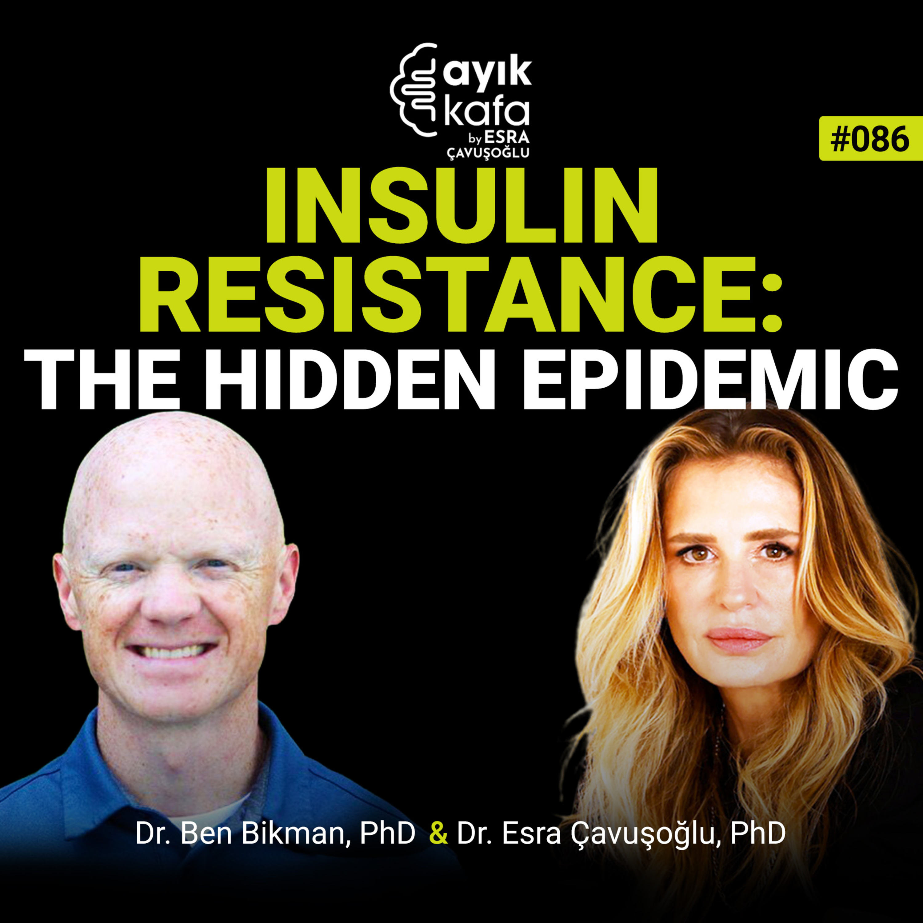 Insulin Resistance: The Hidden Epidemic episode artwork