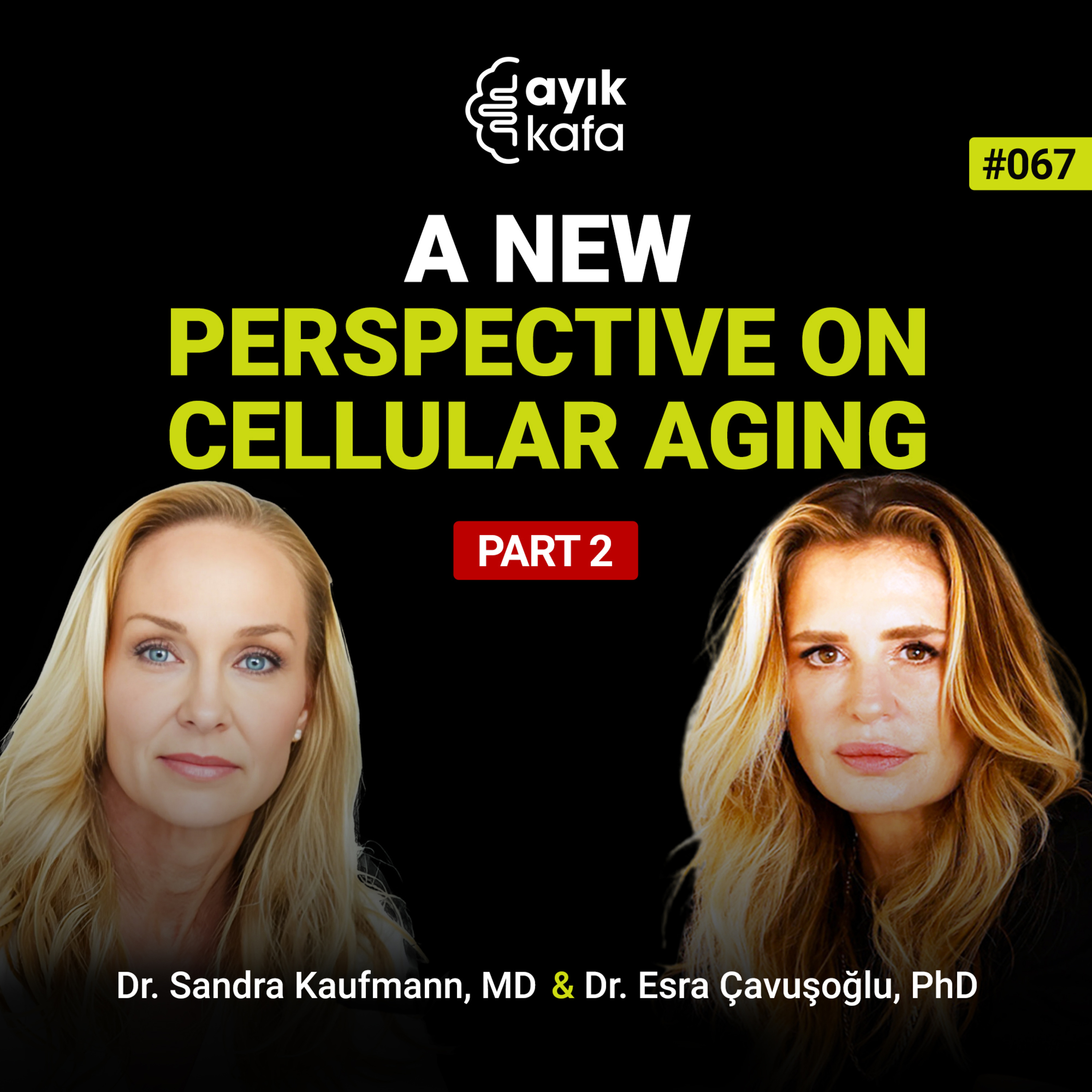 A New Perspevtive on Cellular Aging episode artwork