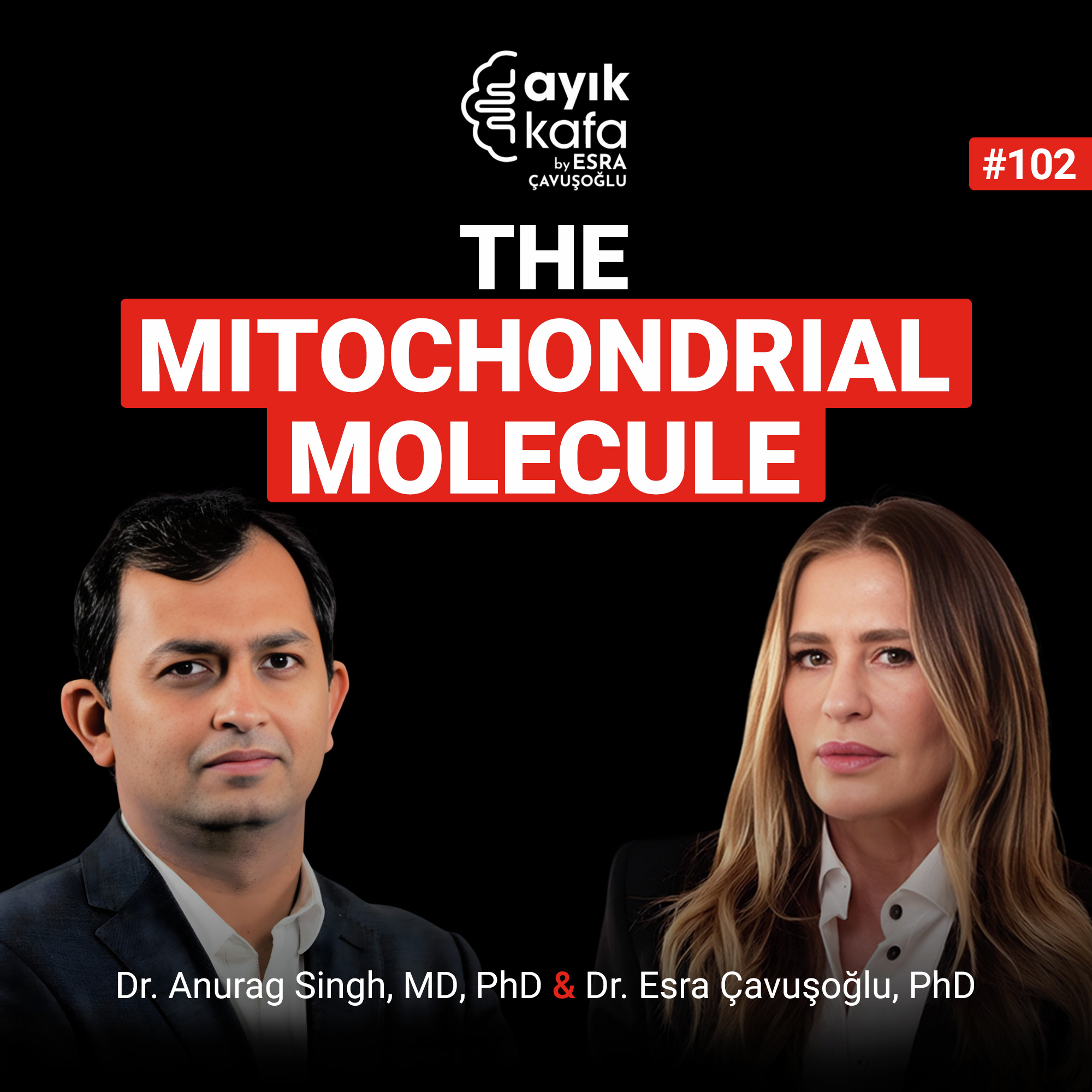 The Mitochondrial Molecule episode artwork
