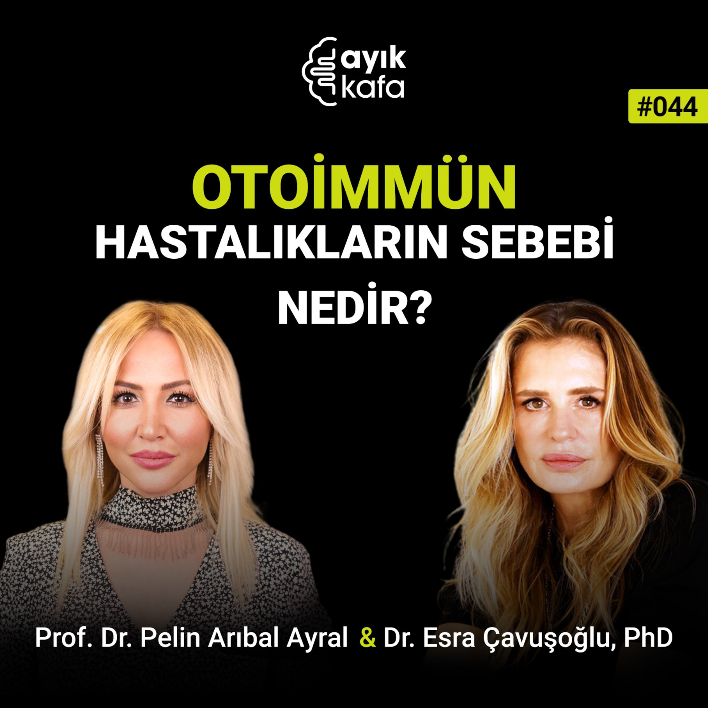 Otoimmün Hastalıkların Sebebi Nedir? episode artwork