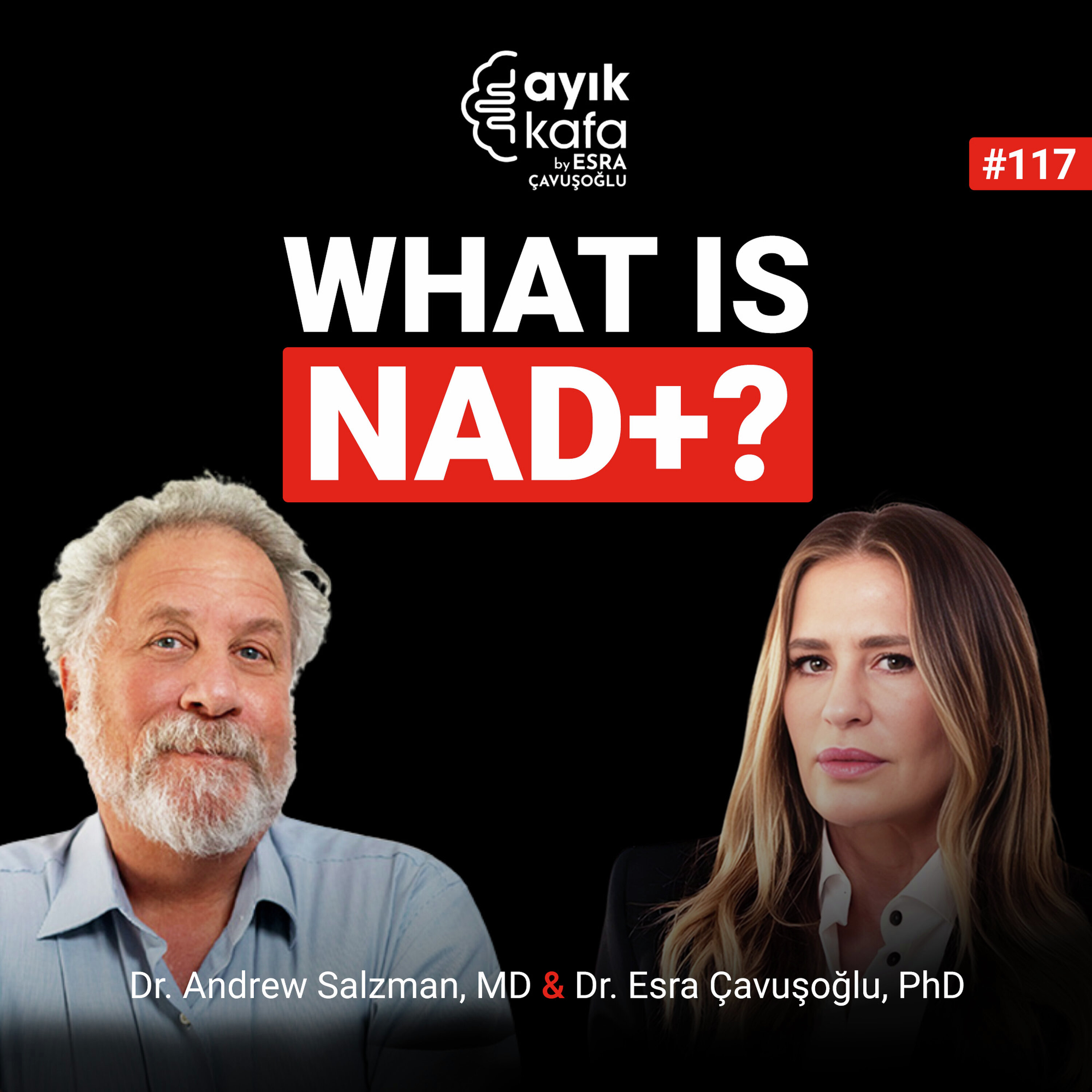 What is NAD+?