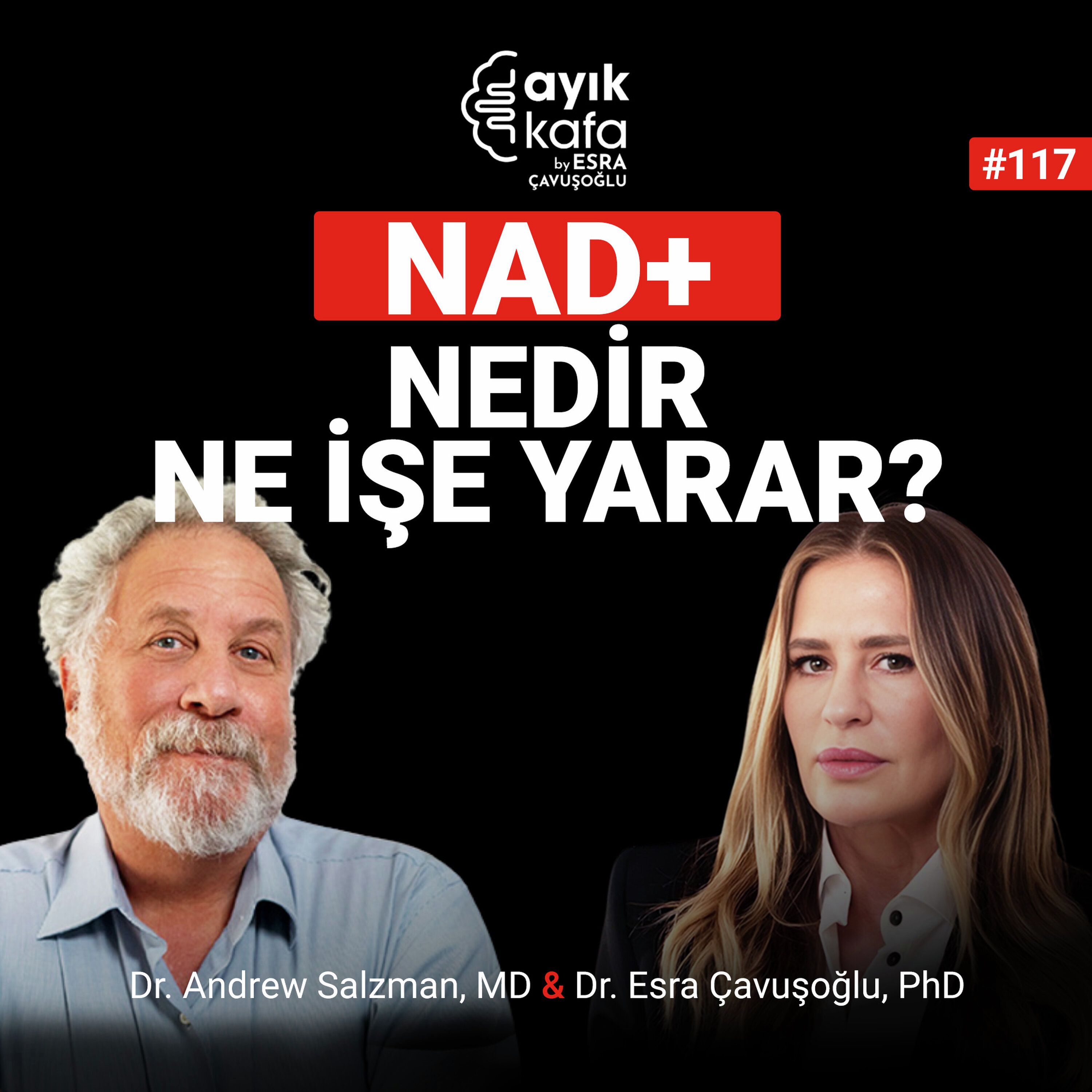 NAD+ Nedir Ne İşe Yarar?