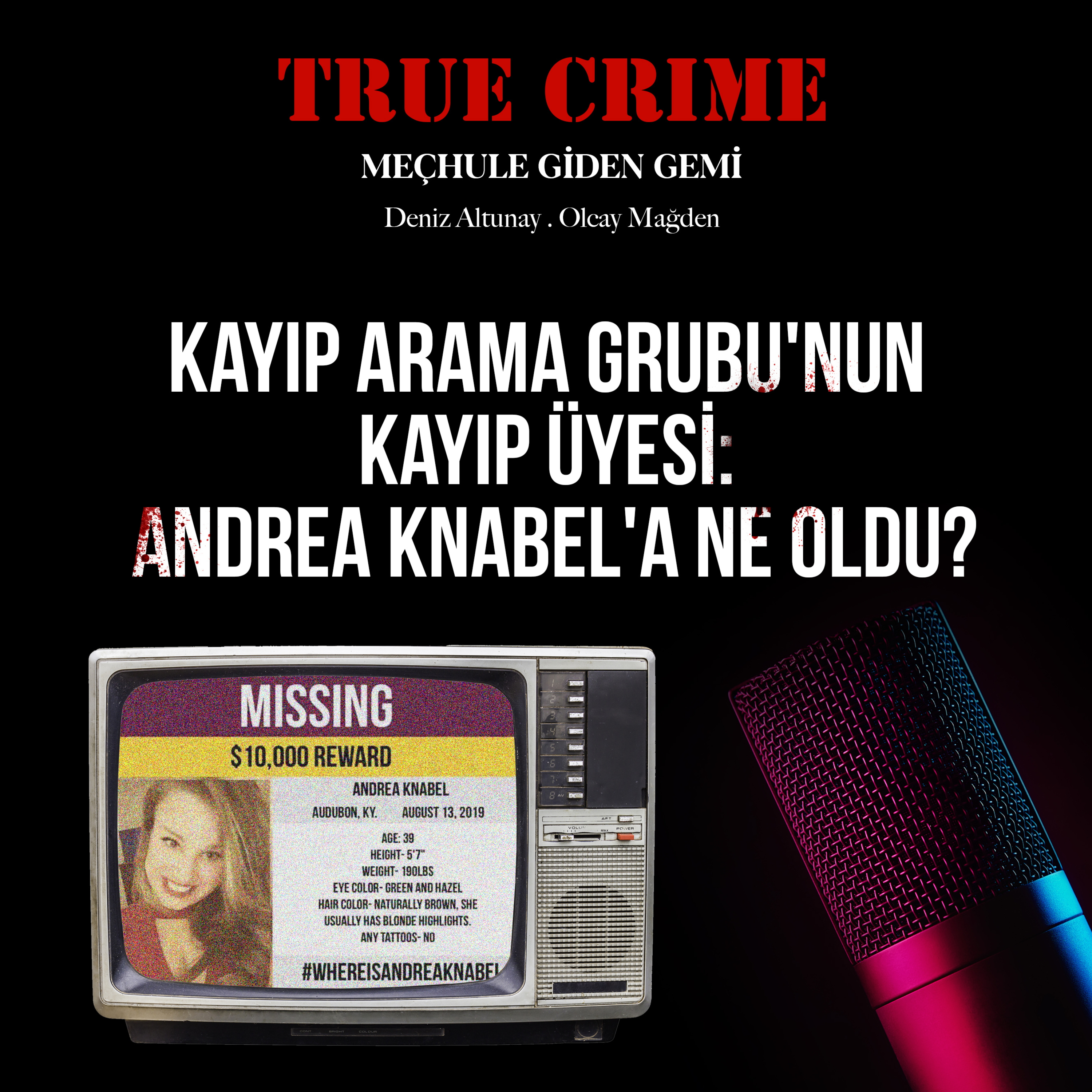 Kayıp Arama Grubu'nun Kayıp Üyesi: Andrea Knabel'a Ne Oldu? episode artwork