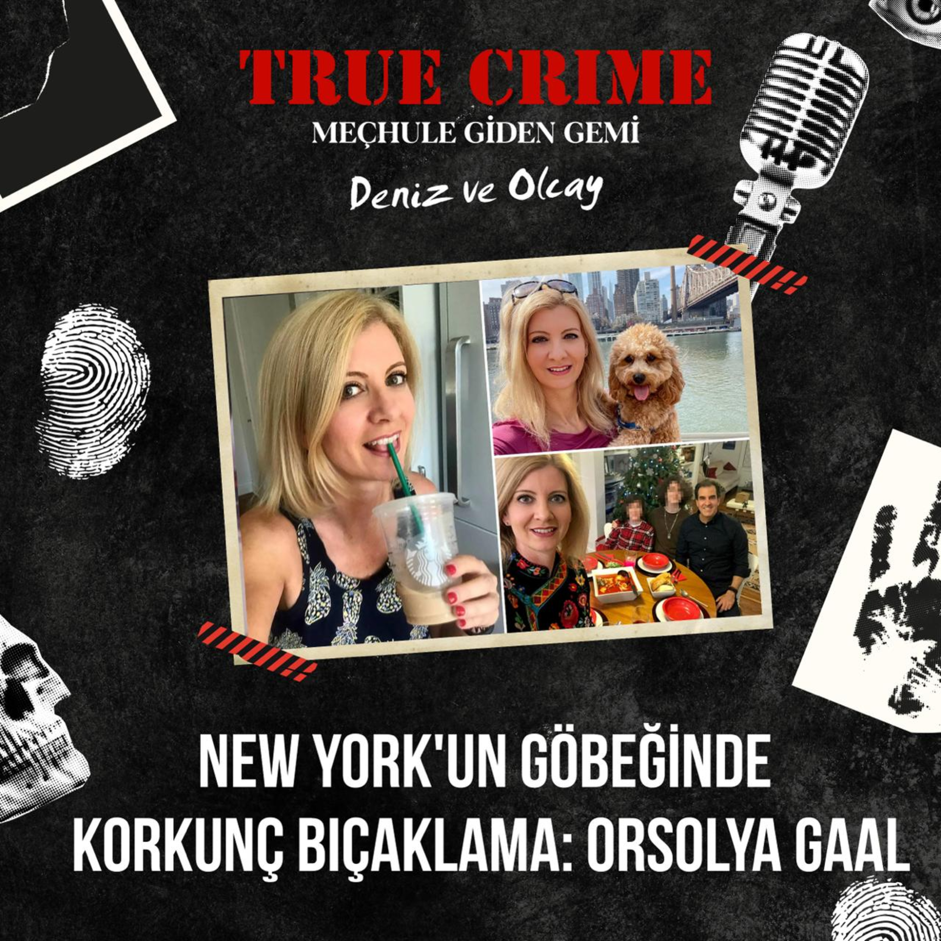New York'un Göbeğinde Korkunç Bıçaklama: Orsolya Gaal episode artwork