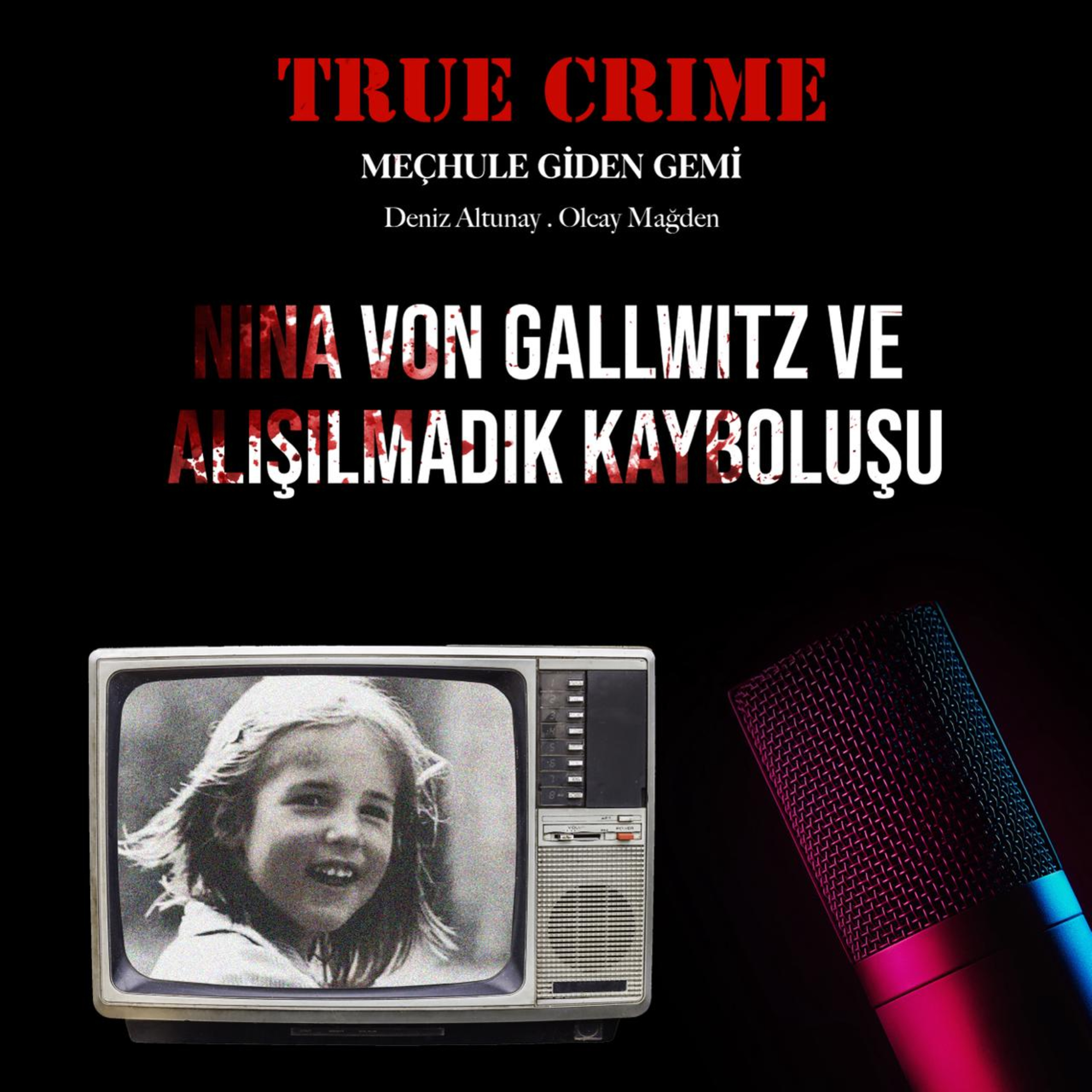 Nina von Gallwitz ve Alışılmadık Kayboluşu episode artwork