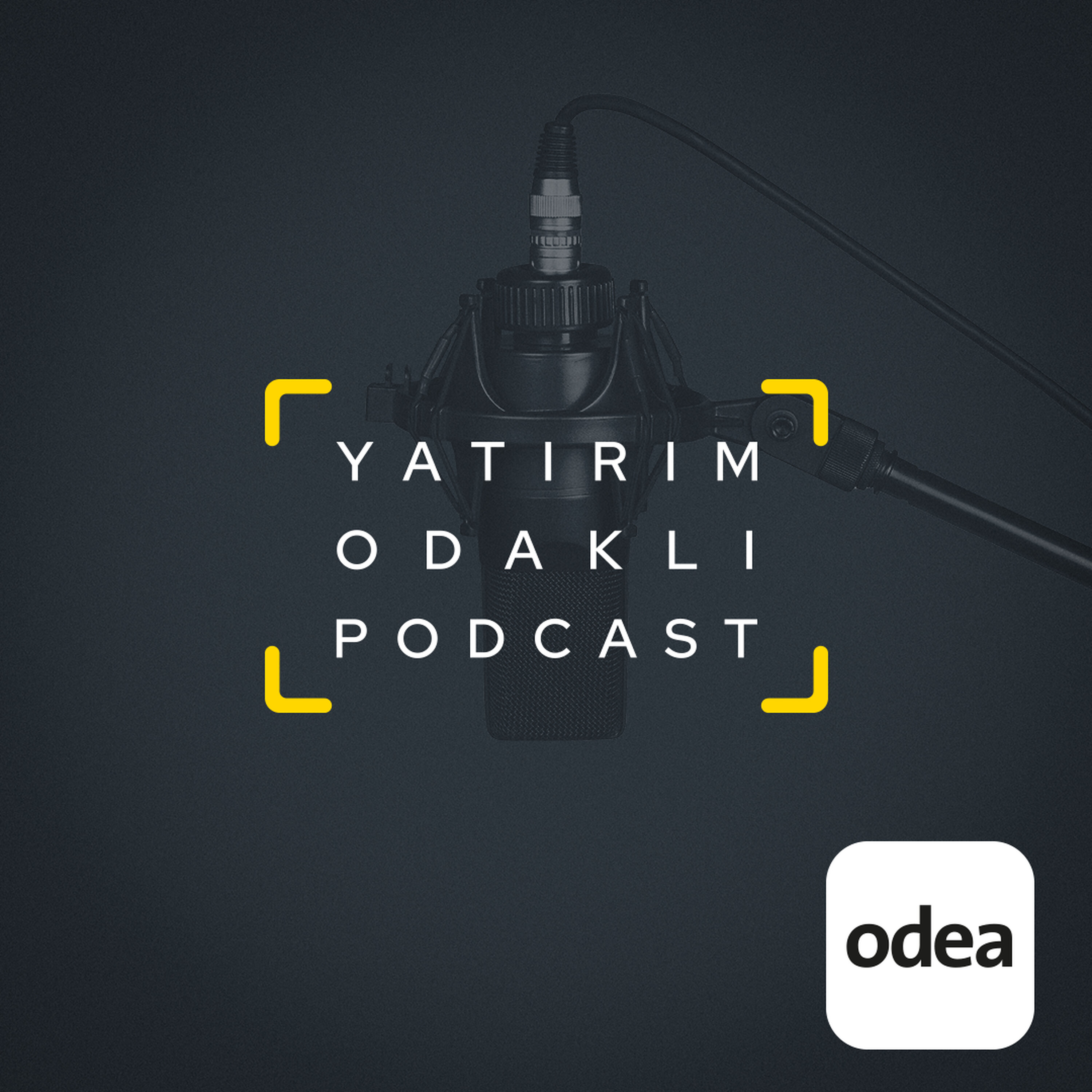 Yatırımın da Trendleri mi Var? - Özlem Bayraktar Gökşen