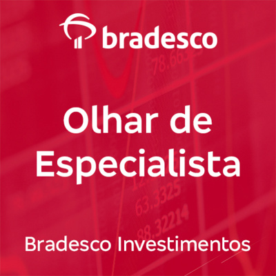 Momento Investidor