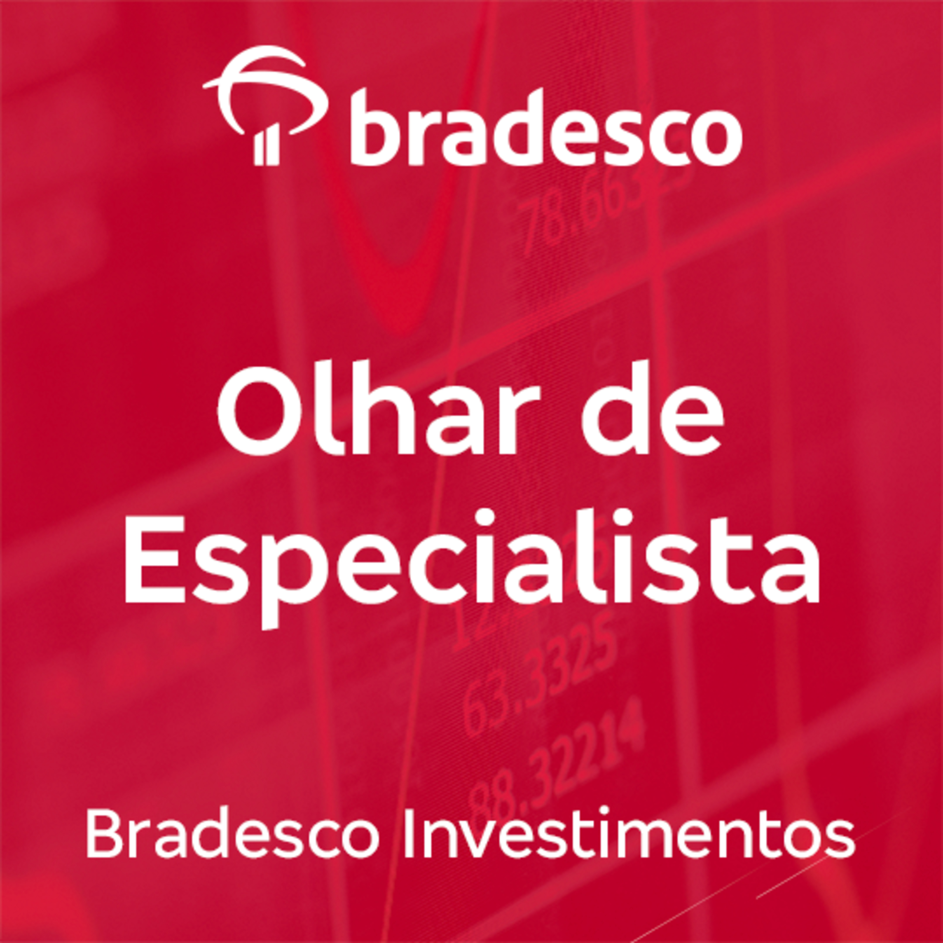 Momento Investidor