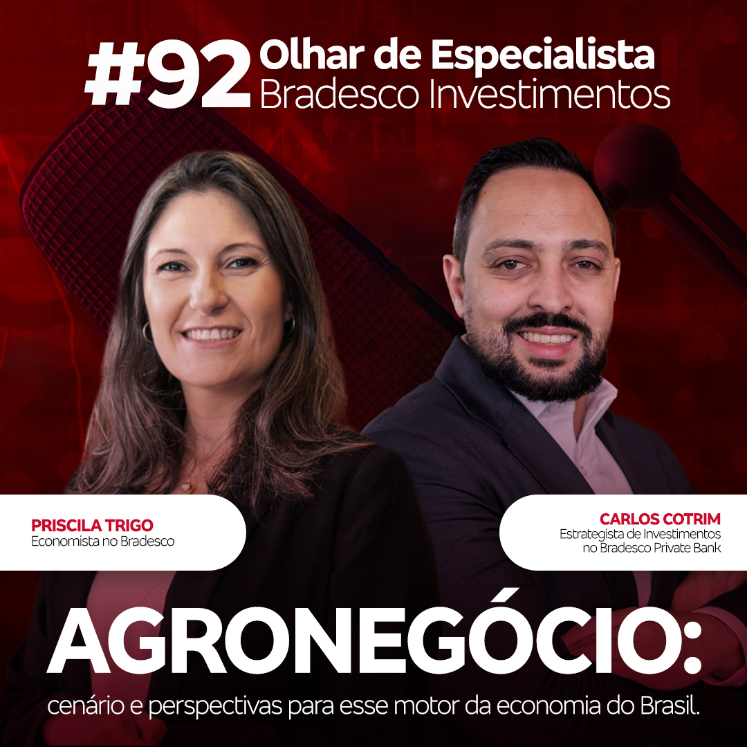 Momento Investidor