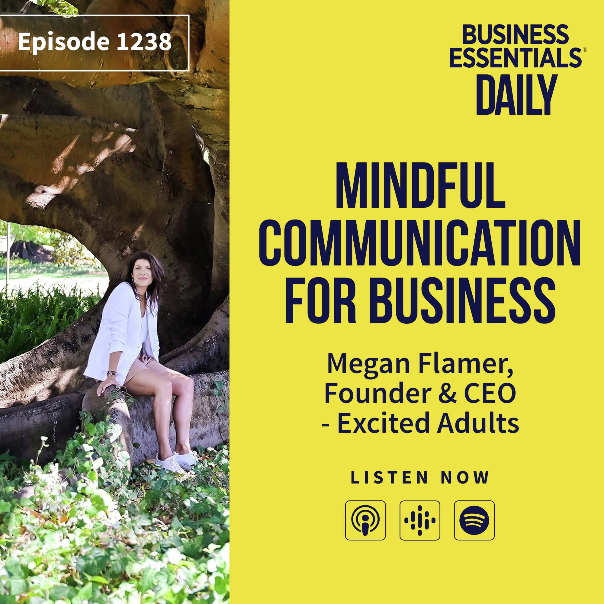 Mindful communication for business episode artwork