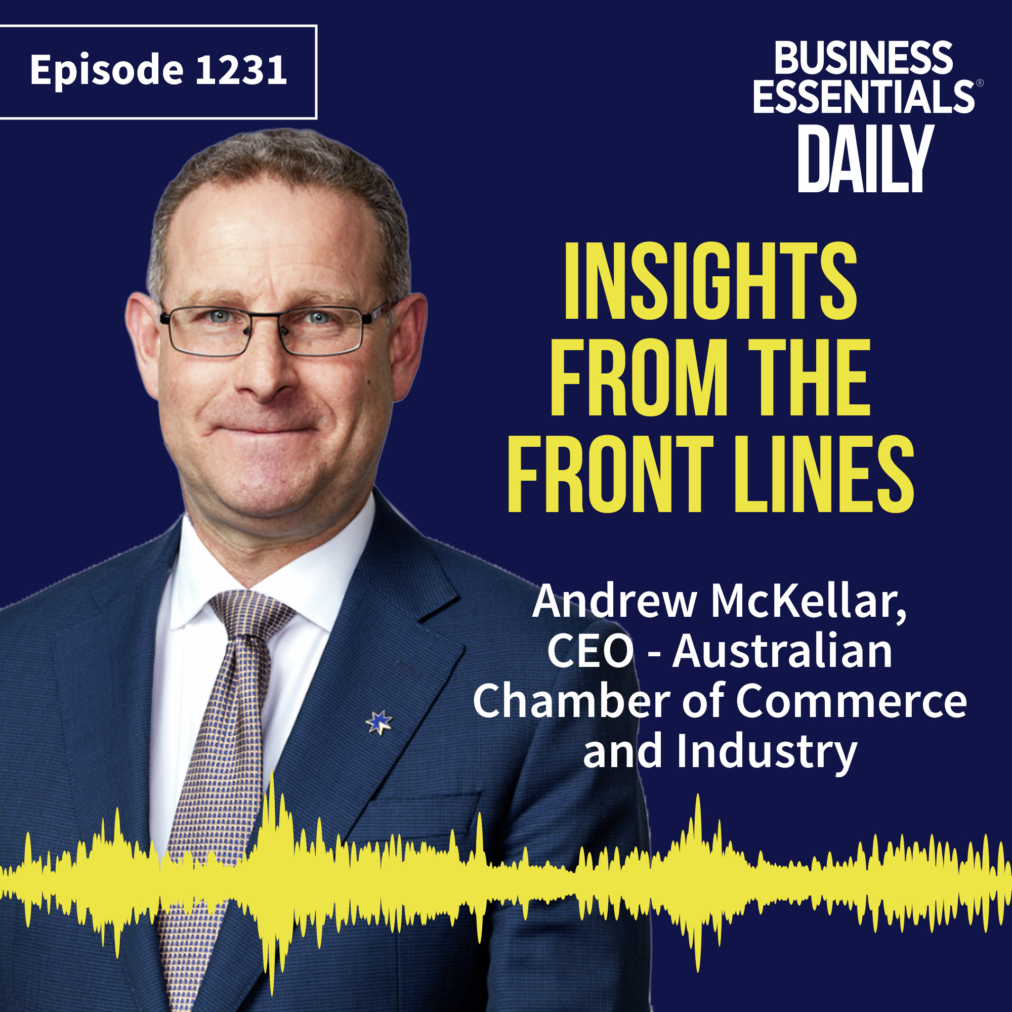 Insights from the front lines episode artwork