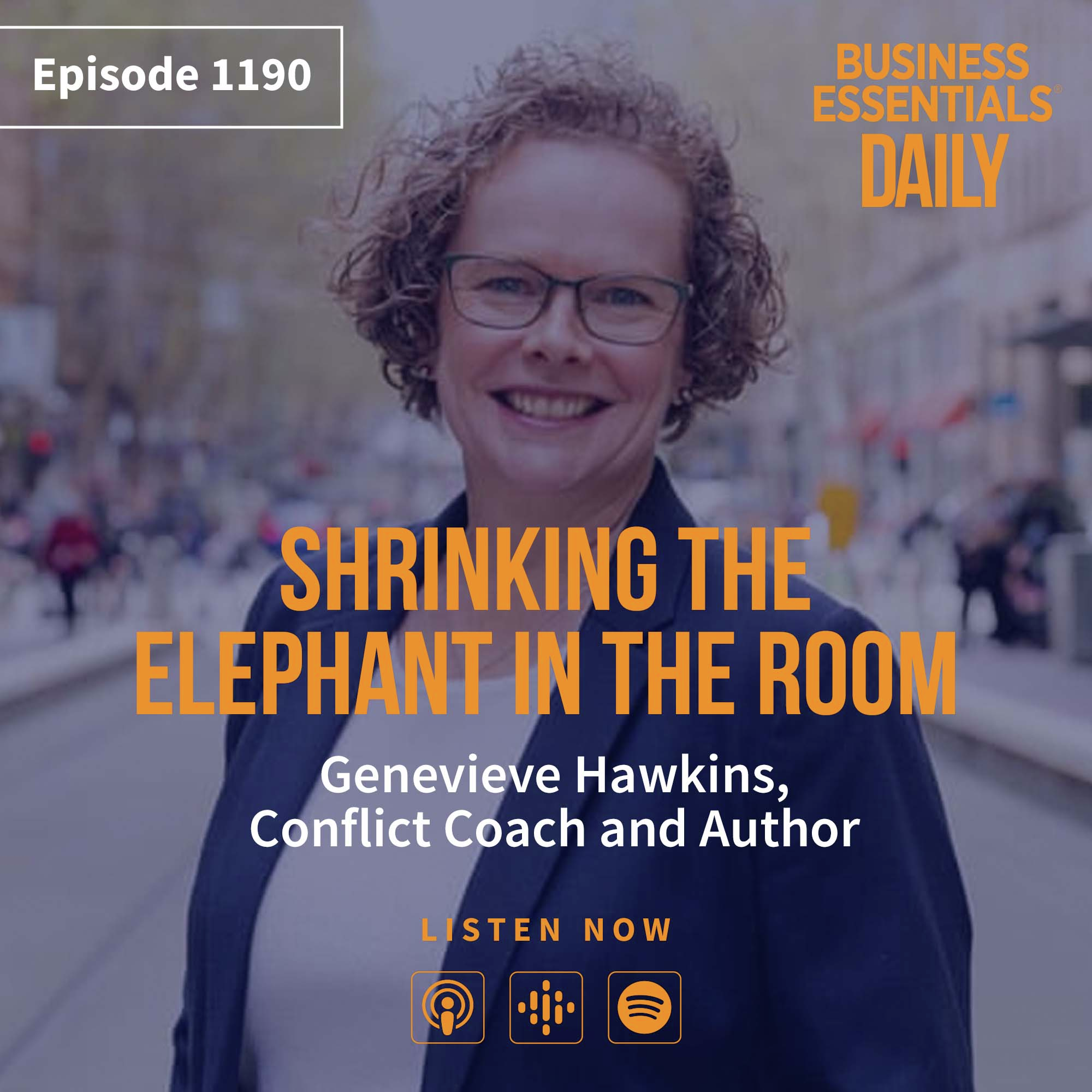 Shrinking the elephant in the room episode artwork