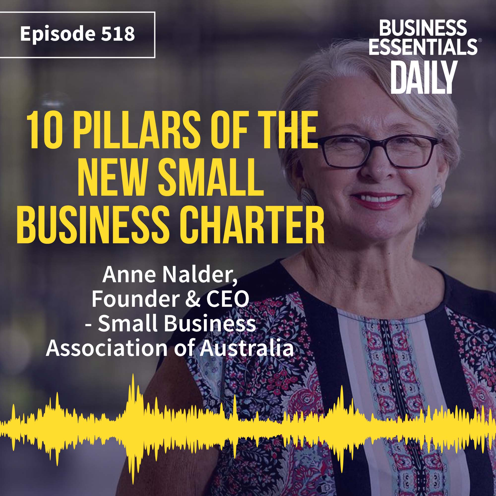10 pillars of the new small business charter episode artwork