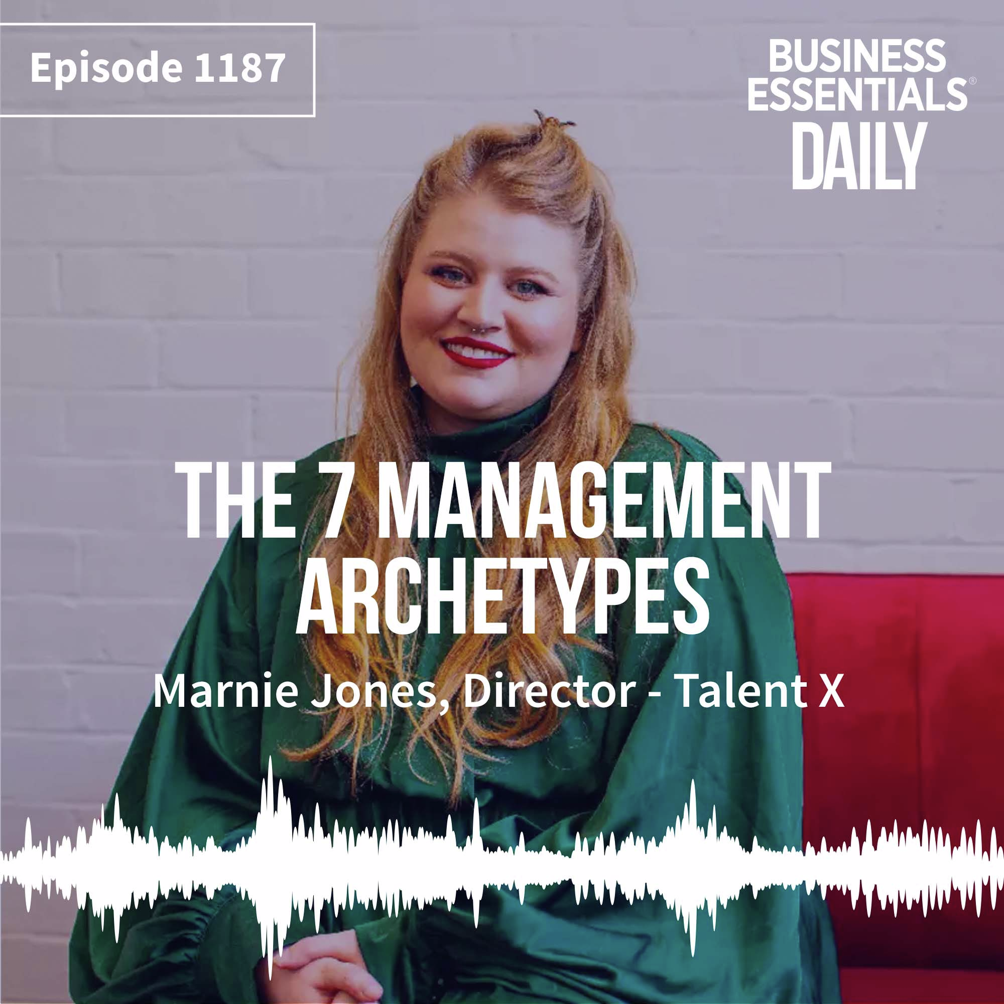 The 7 management archetypes episode artwork