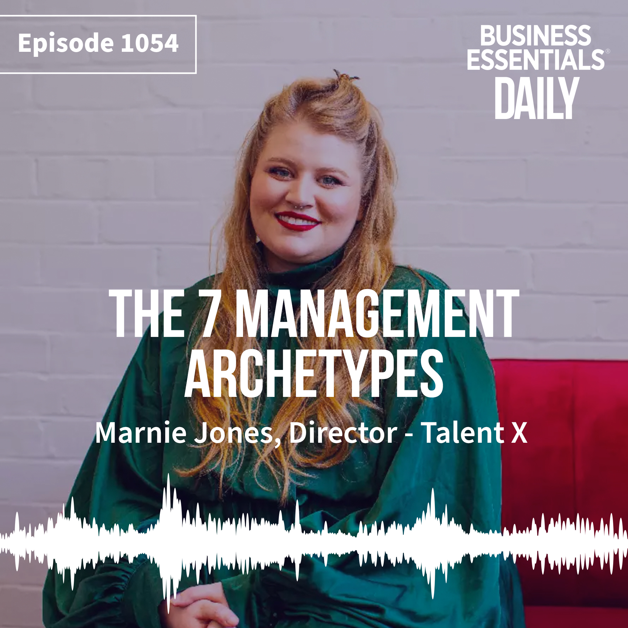The 7 management archetypes episode artwork