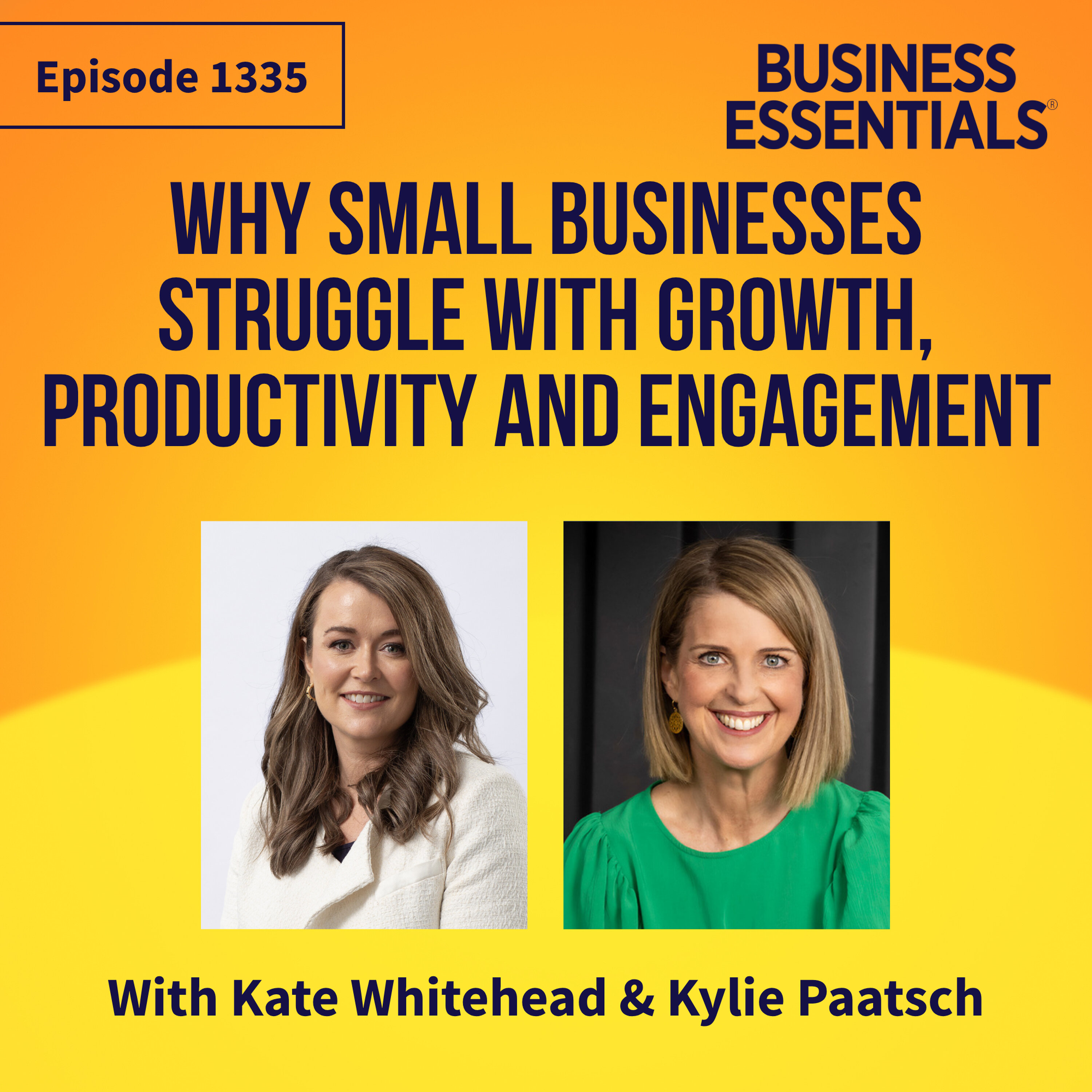 Why small businesses struggle with growth, productivity and engagement episode artwork