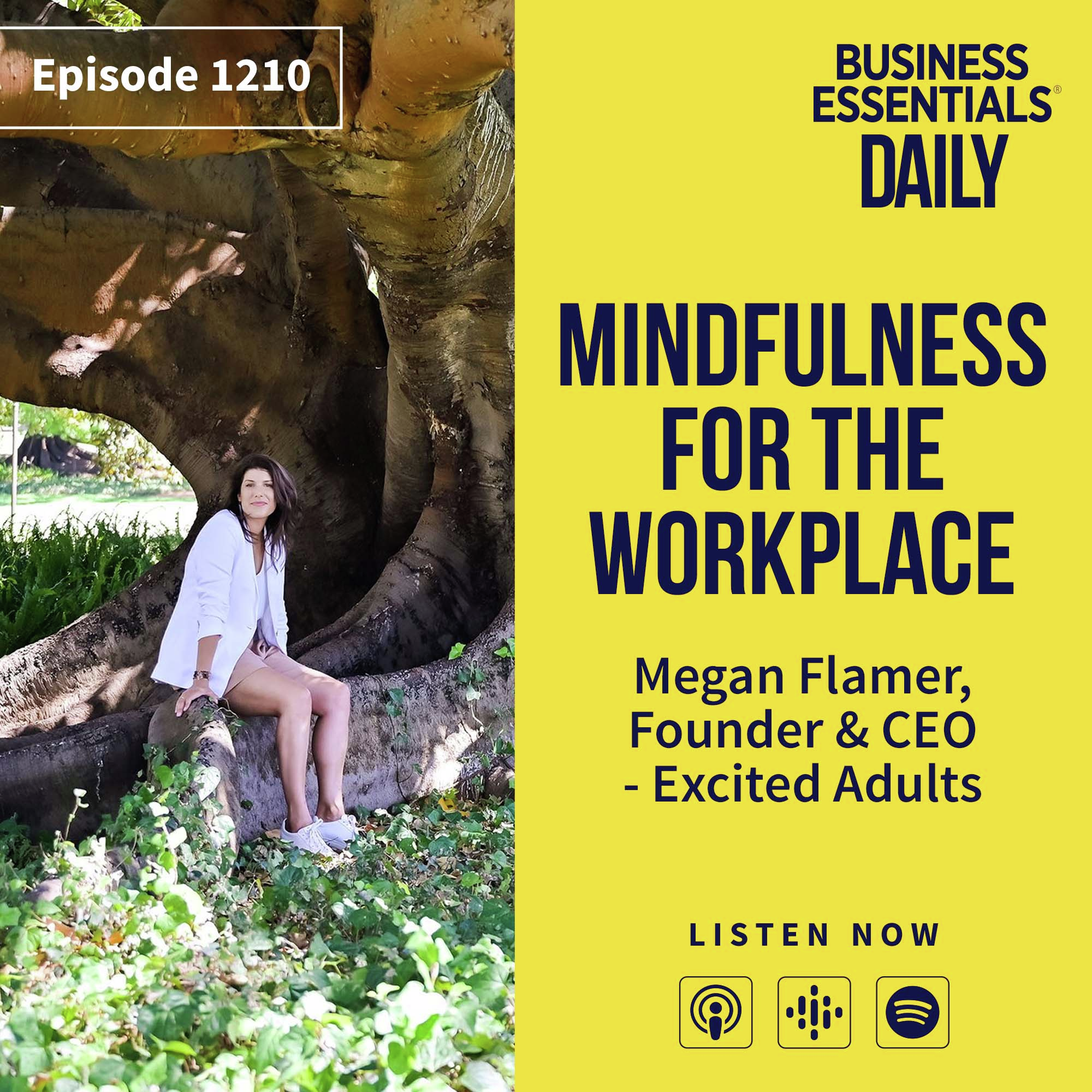 Mindfulness for the workplace episode artwork