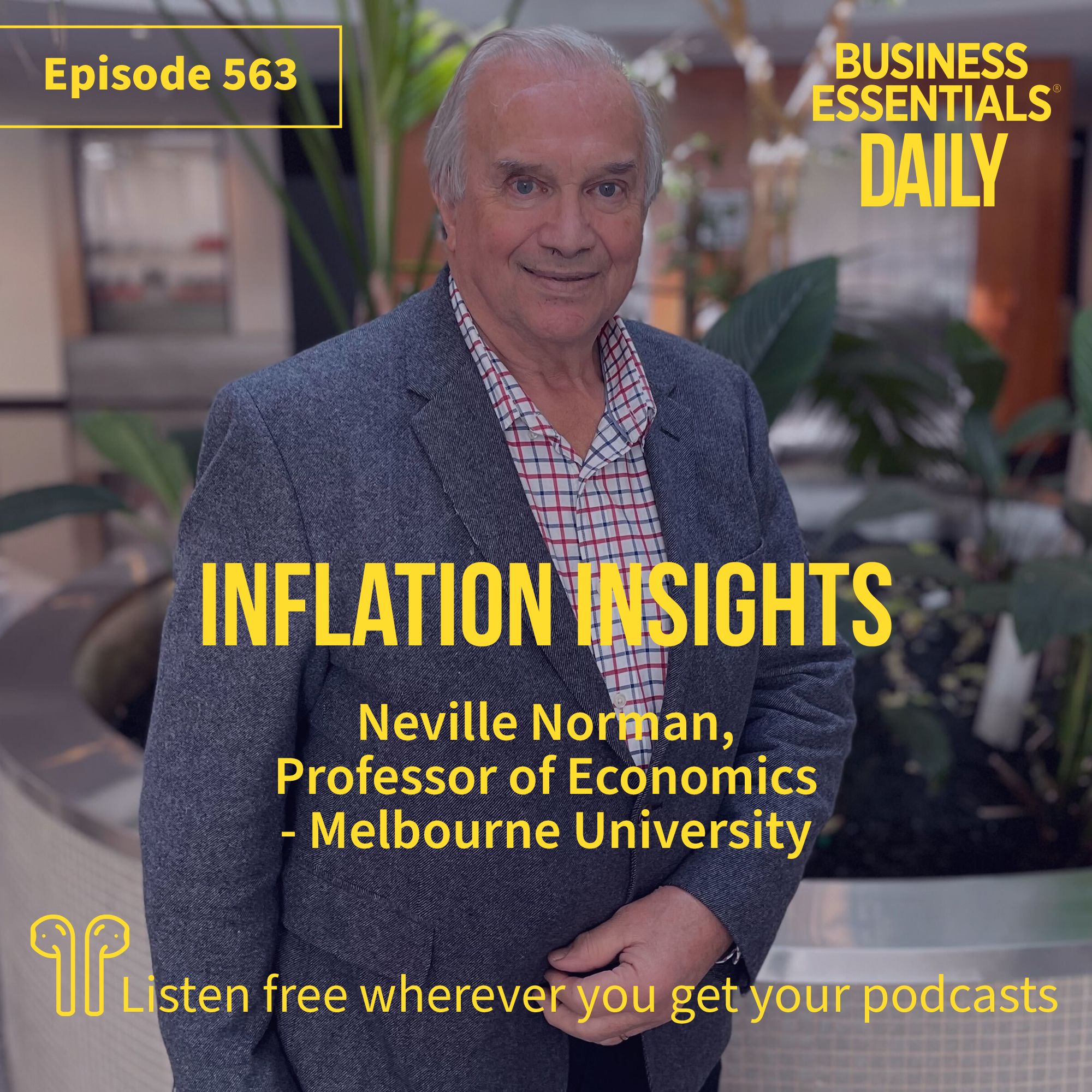 Inflation insights episode artwork