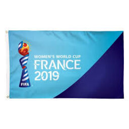 Fifa Women's Soccer World cup 2019 overview