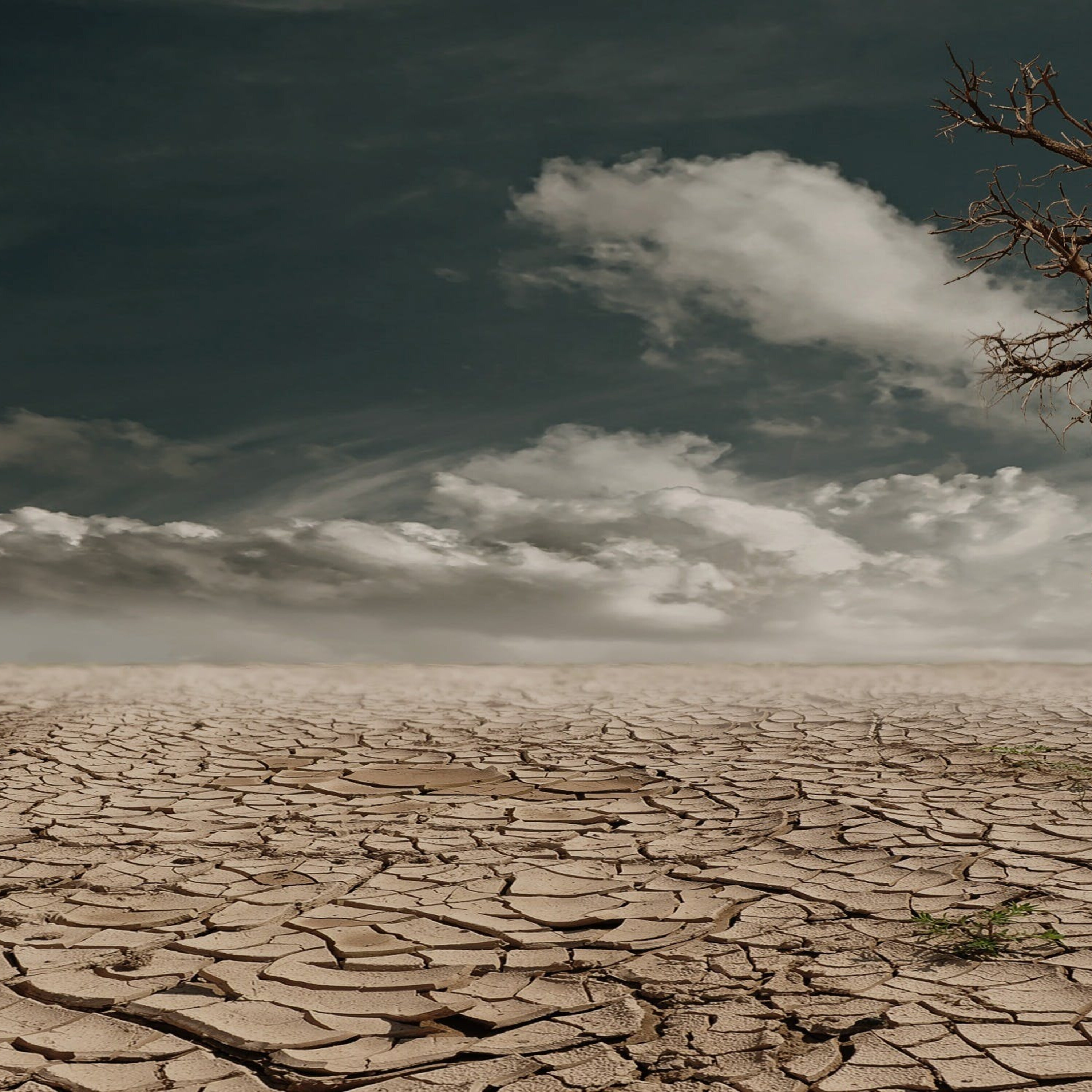 How to invest if you’re worried about climate change