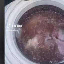 What’s Gone Viral - [WATCH] Woman prepares Mogodu in a washing machine!