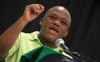 Zikalala reaffirms support for Dlamini-Zuma