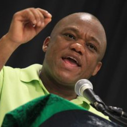 Zikalala reaffirms support for Dlamini-Zuma
