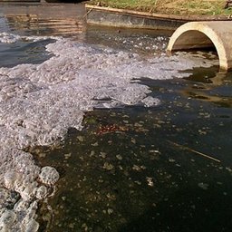 The Pollution of the Vaal River has reached crisis proportions