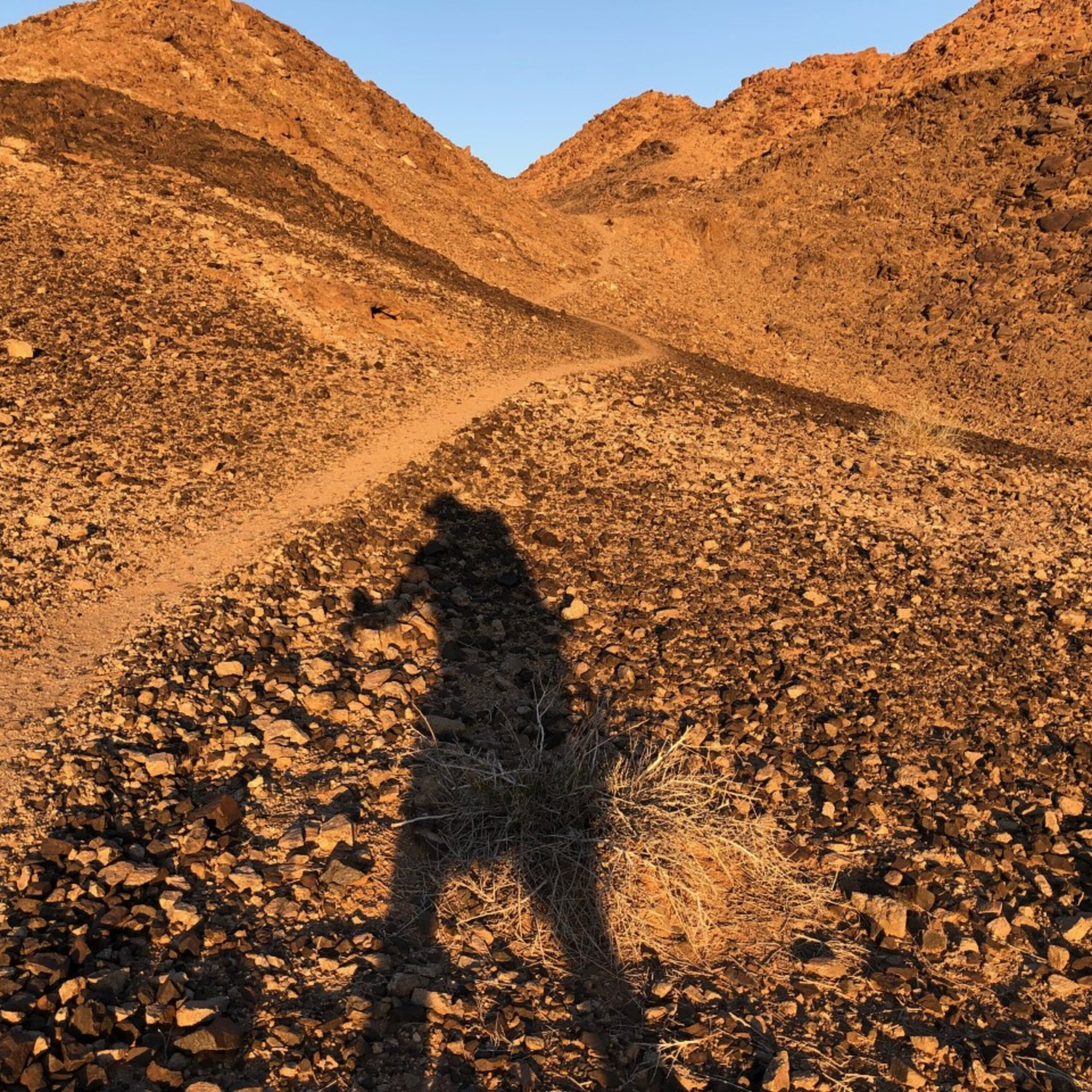 Hiking with Tim Lundy: Walk with water episode artwork