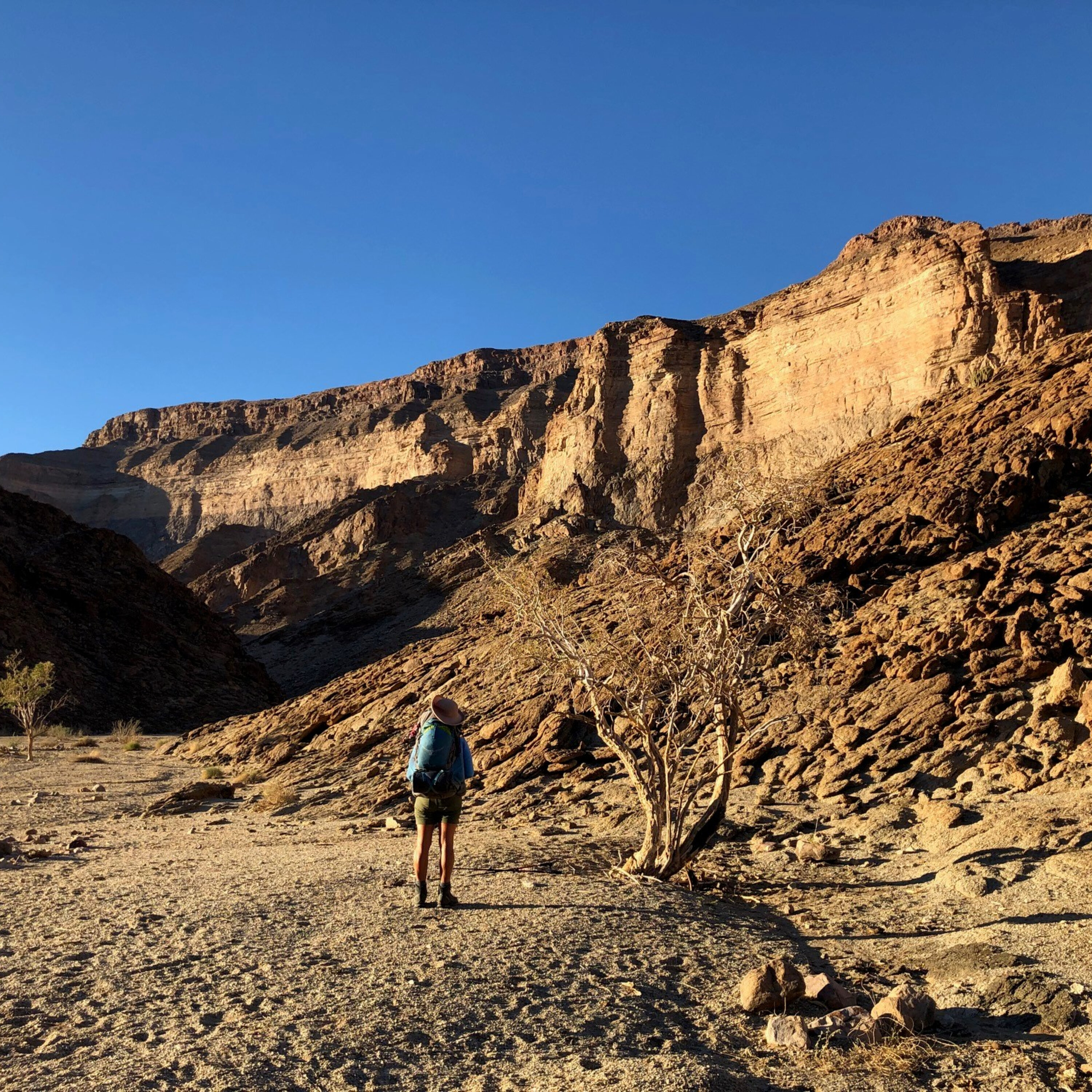 Hiking feature with Tim Lundy: Hiking during virus? episode artwork