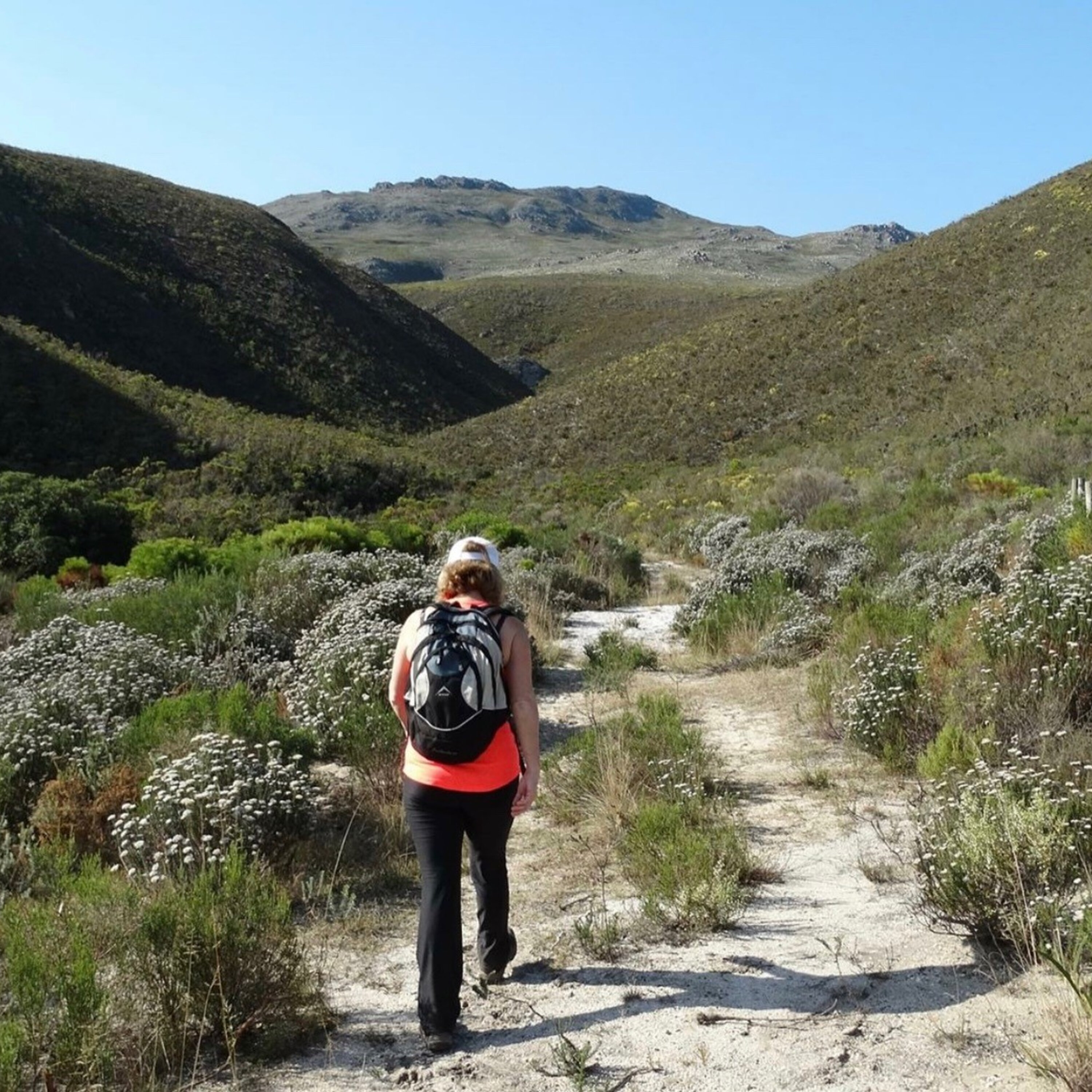 Hiking with Tim Lundy episode artwork