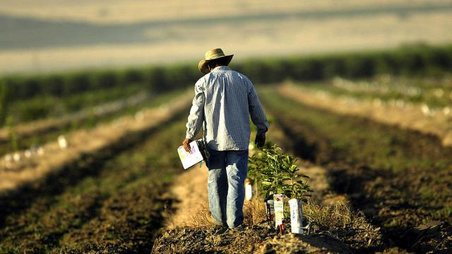 Mintirho Foundation launched to boost historically disadvantaged developing farmers