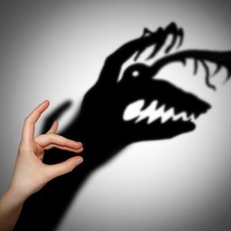 The difference between irrational fears and phobias with Dr Anthony Koller