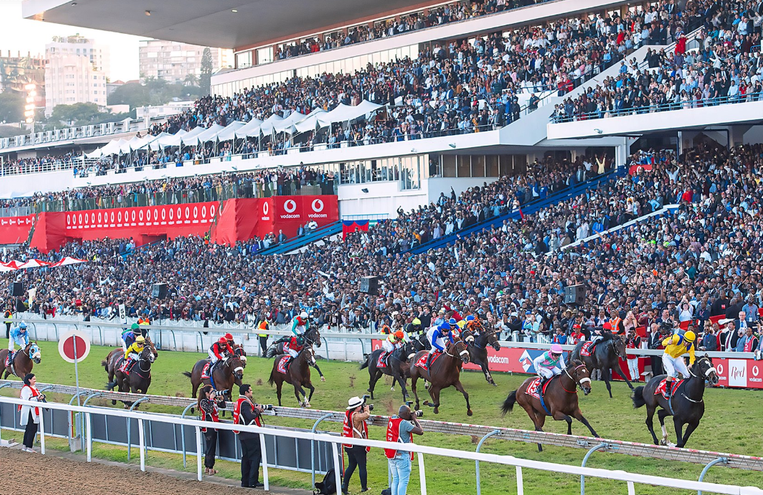 How expensive is it to maintain a horse in racing industry? episode artwork