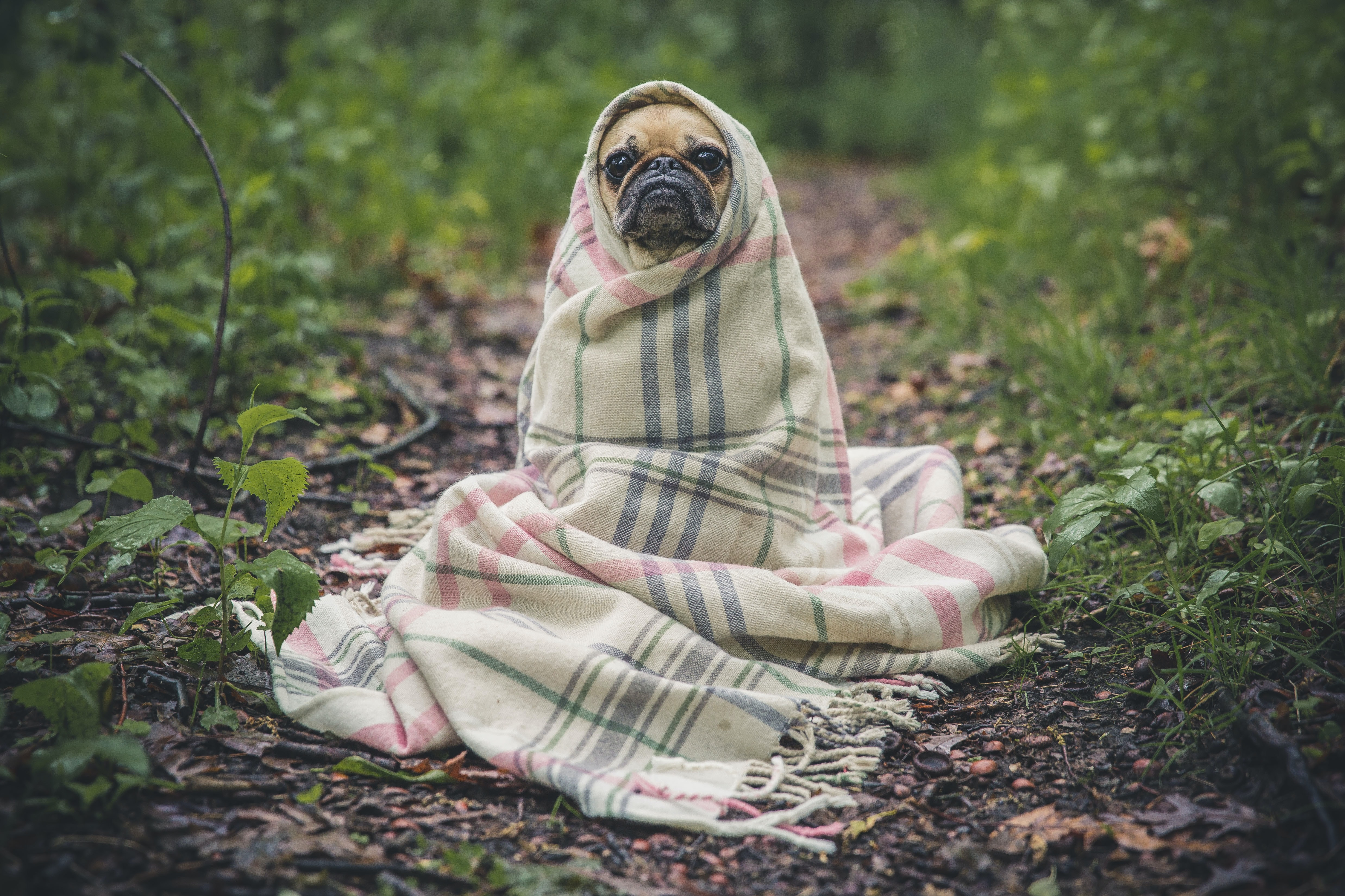 #AskTheClub: "When you get out of the shower - your lotion - it’s extremely cold..." 😰 #947BreakfastClub cc @947BClub @Anele @FrankieFire @ThembiMrototo @AlexCaige @CindyPoluta episode artwork