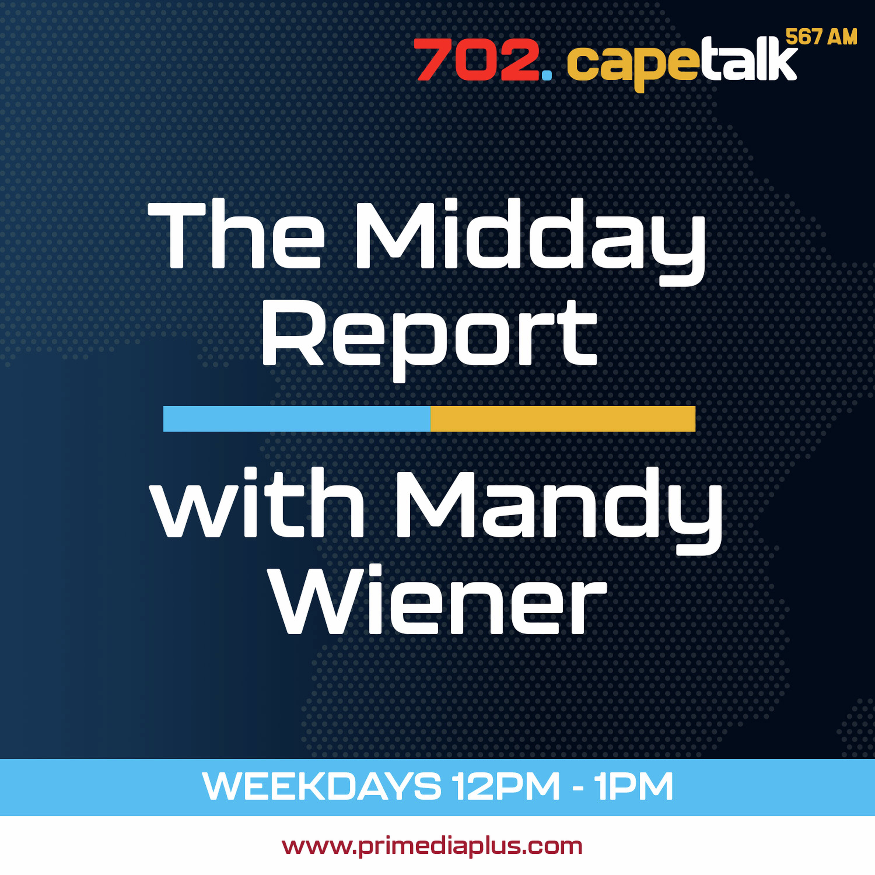 Analysis: Madlanga Commission