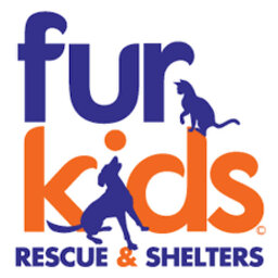 Fish Community Lighthouse Fur Kids 2022