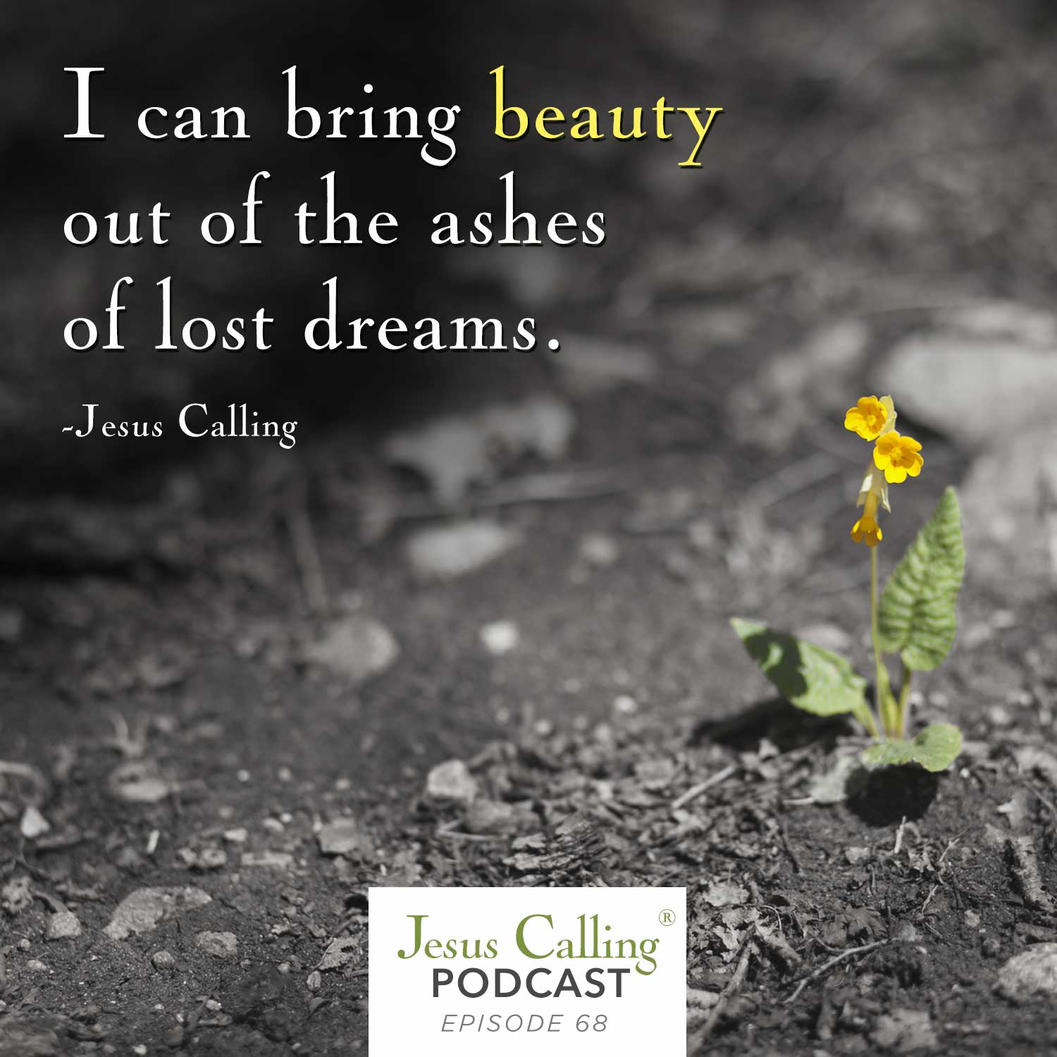 Rising from the Ashes of Abuse: Christine Caine & Jennifer Clinger