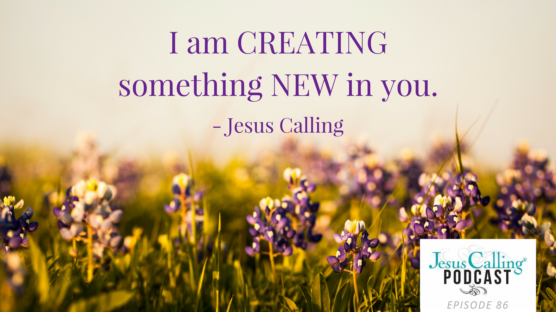 The Broken Road To Joy: Ann Voskamp & Emily Stroud